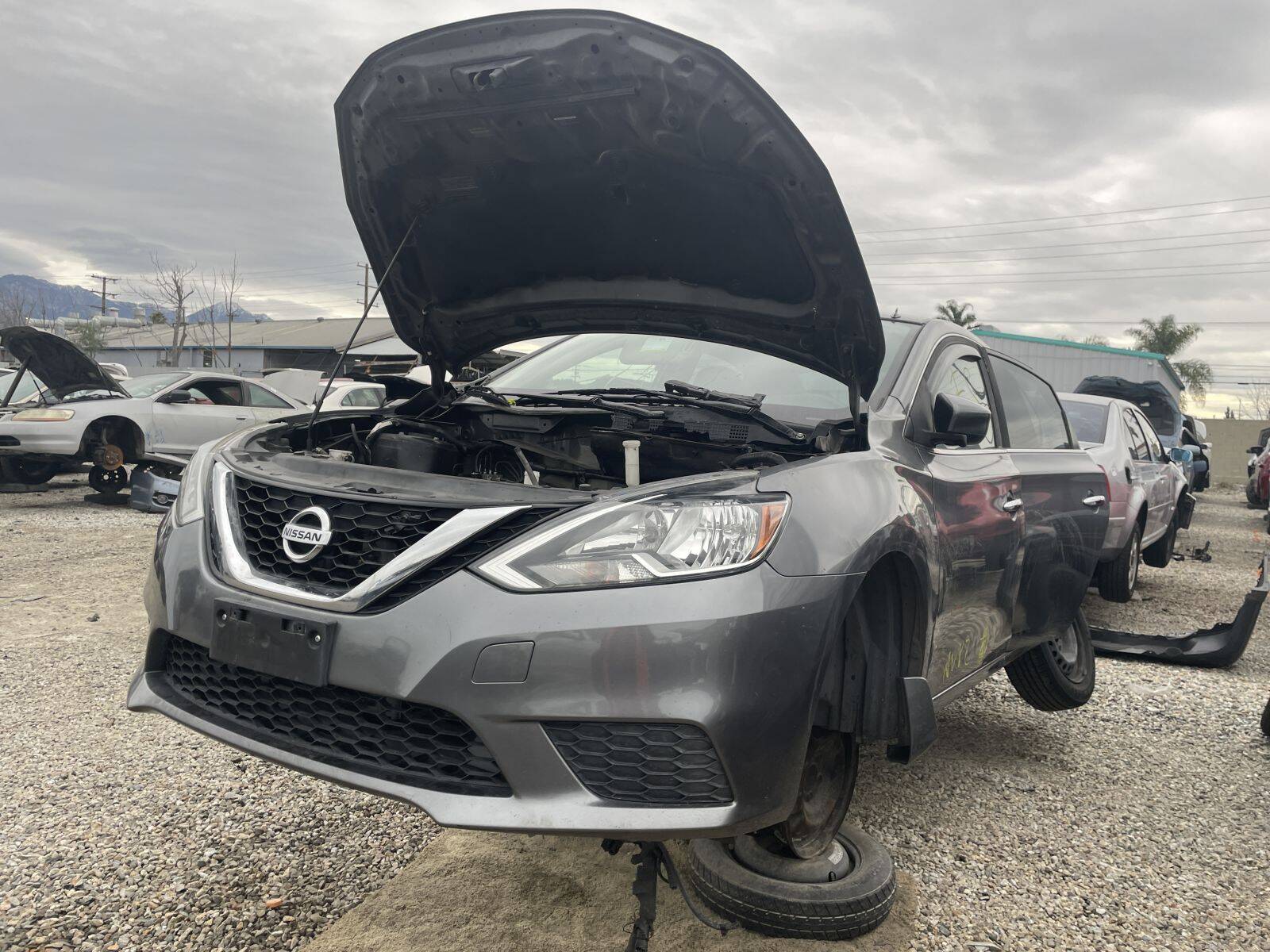 Artículo del catálogo POM061213