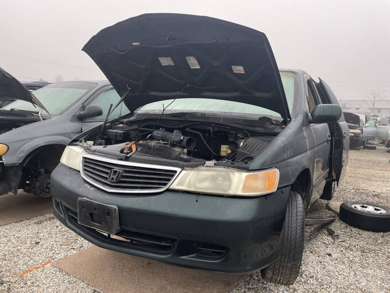 Catalog item POM061222