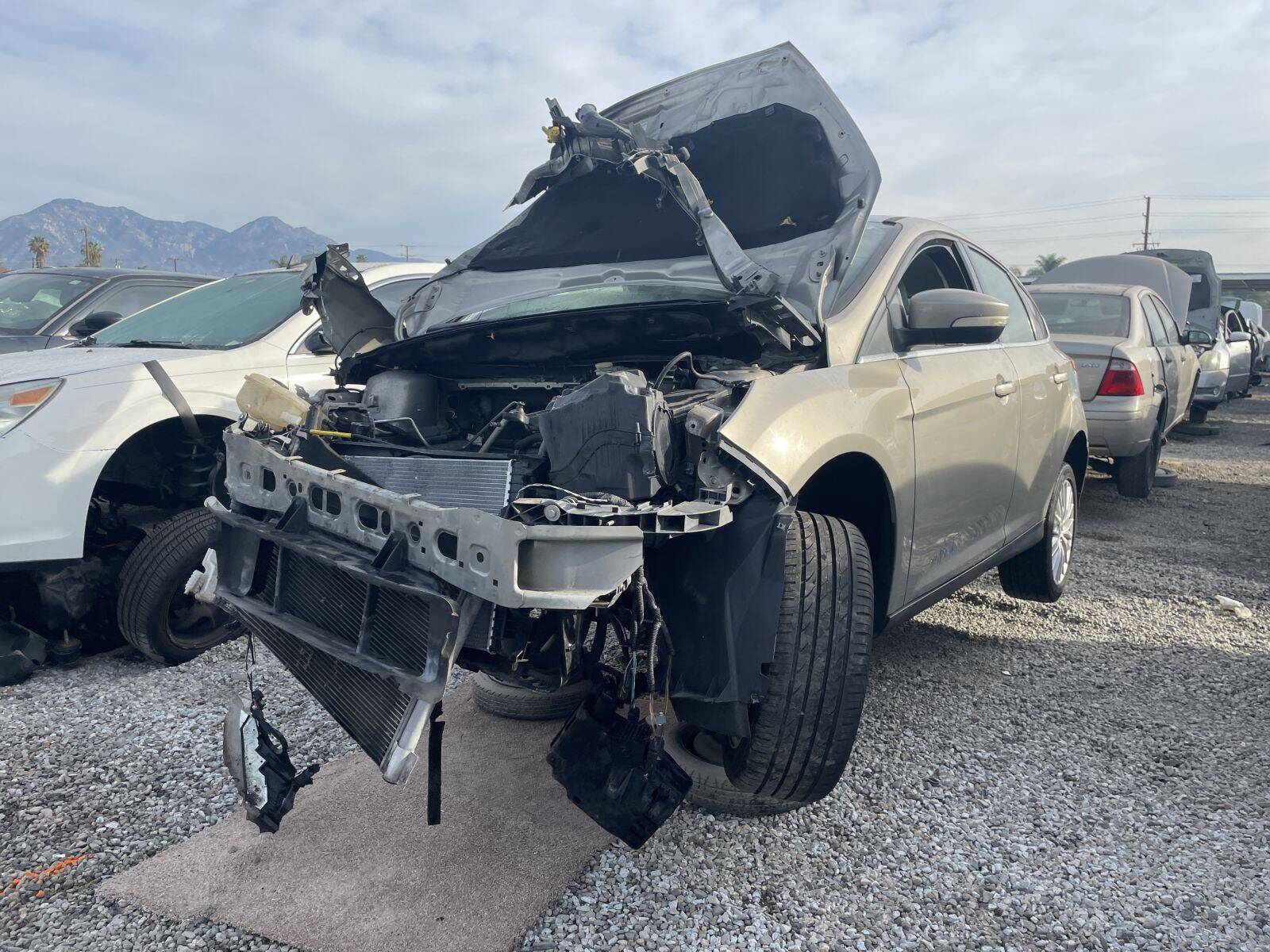 Artículo del catálogo POM061265