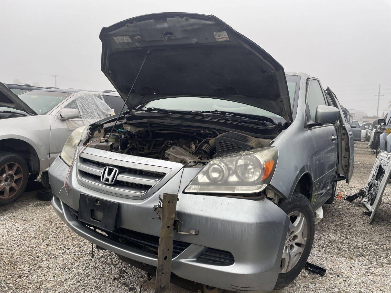 Catalog item POM061282