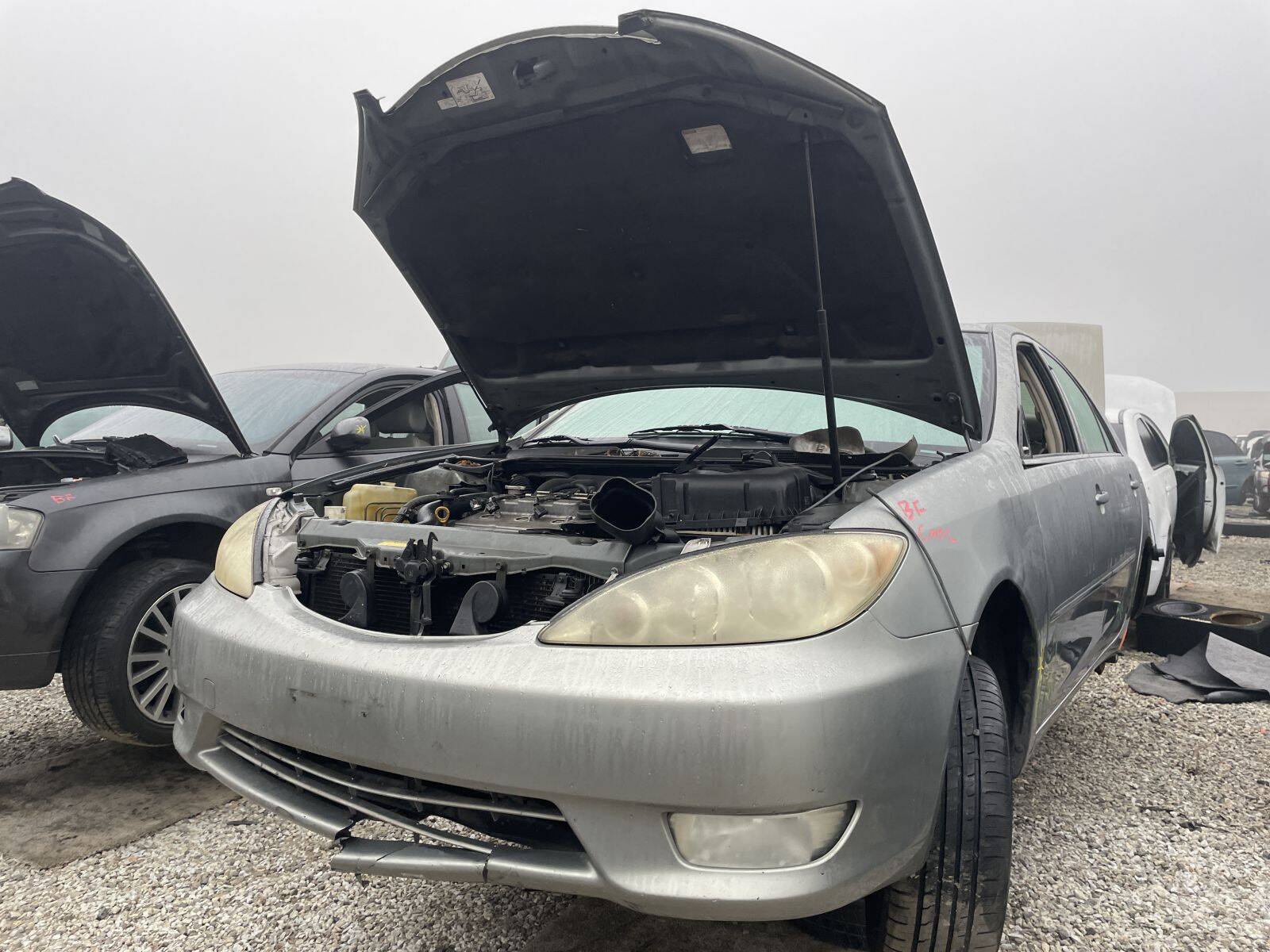 Catalog item POM061295