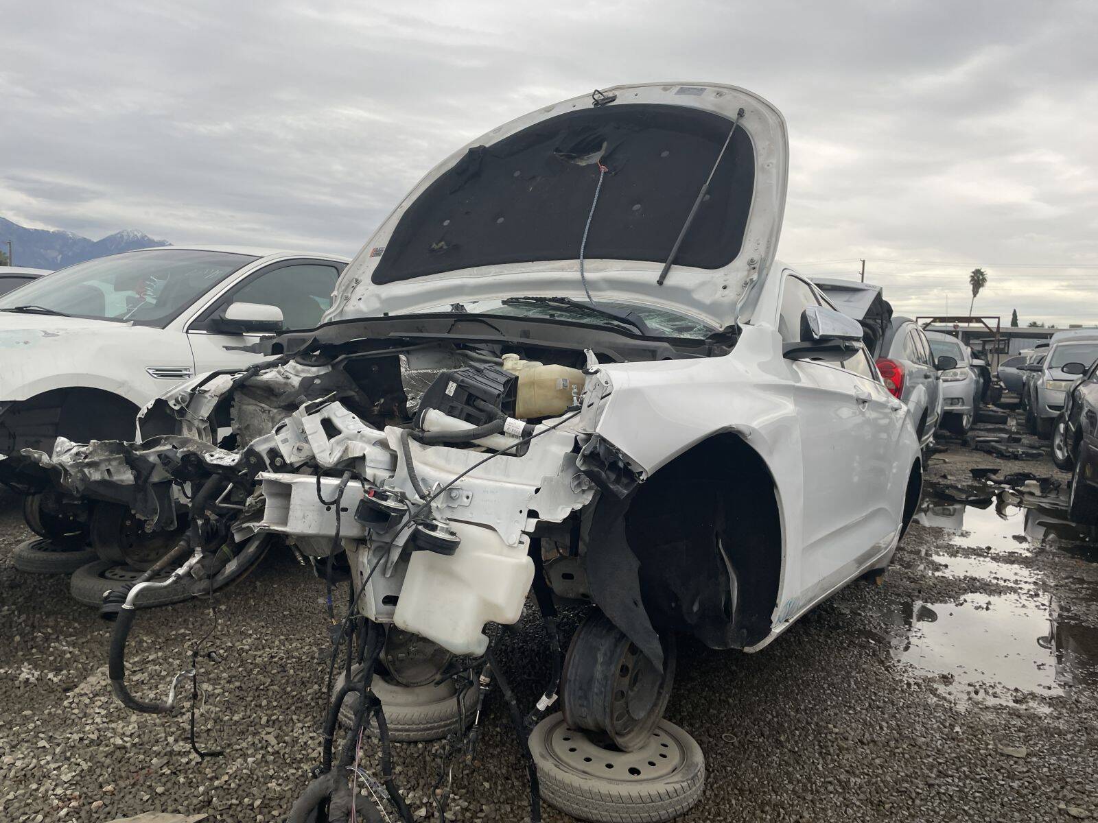 Artículo del catálogo POM061335