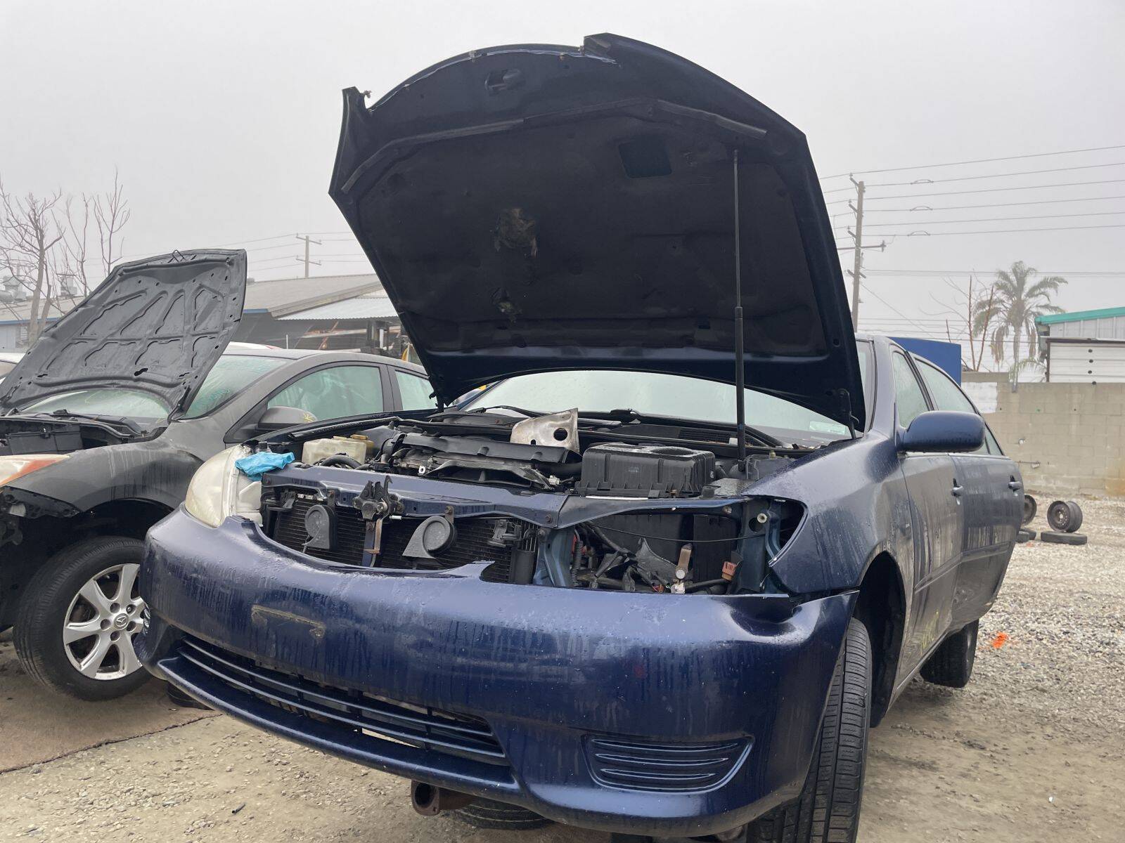 Catalog item POM061342