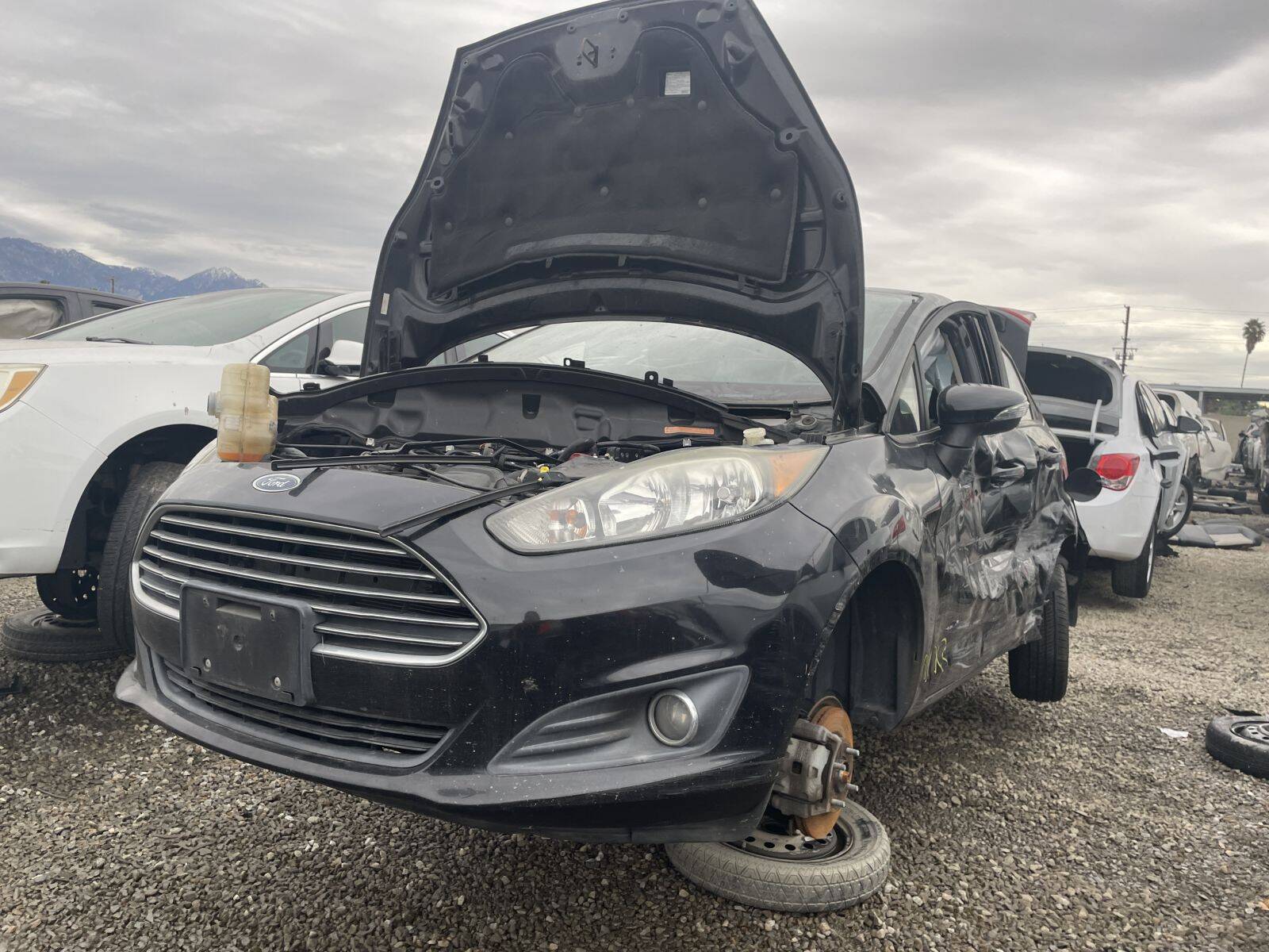 Artículo del catálogo POM061363