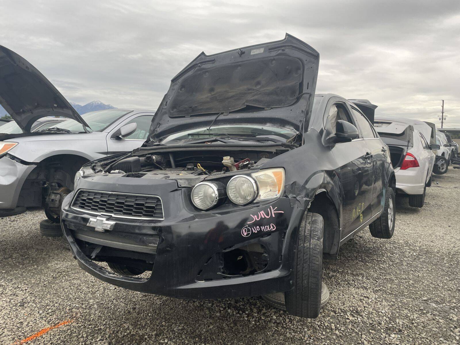 Artículo del catálogo POM061364