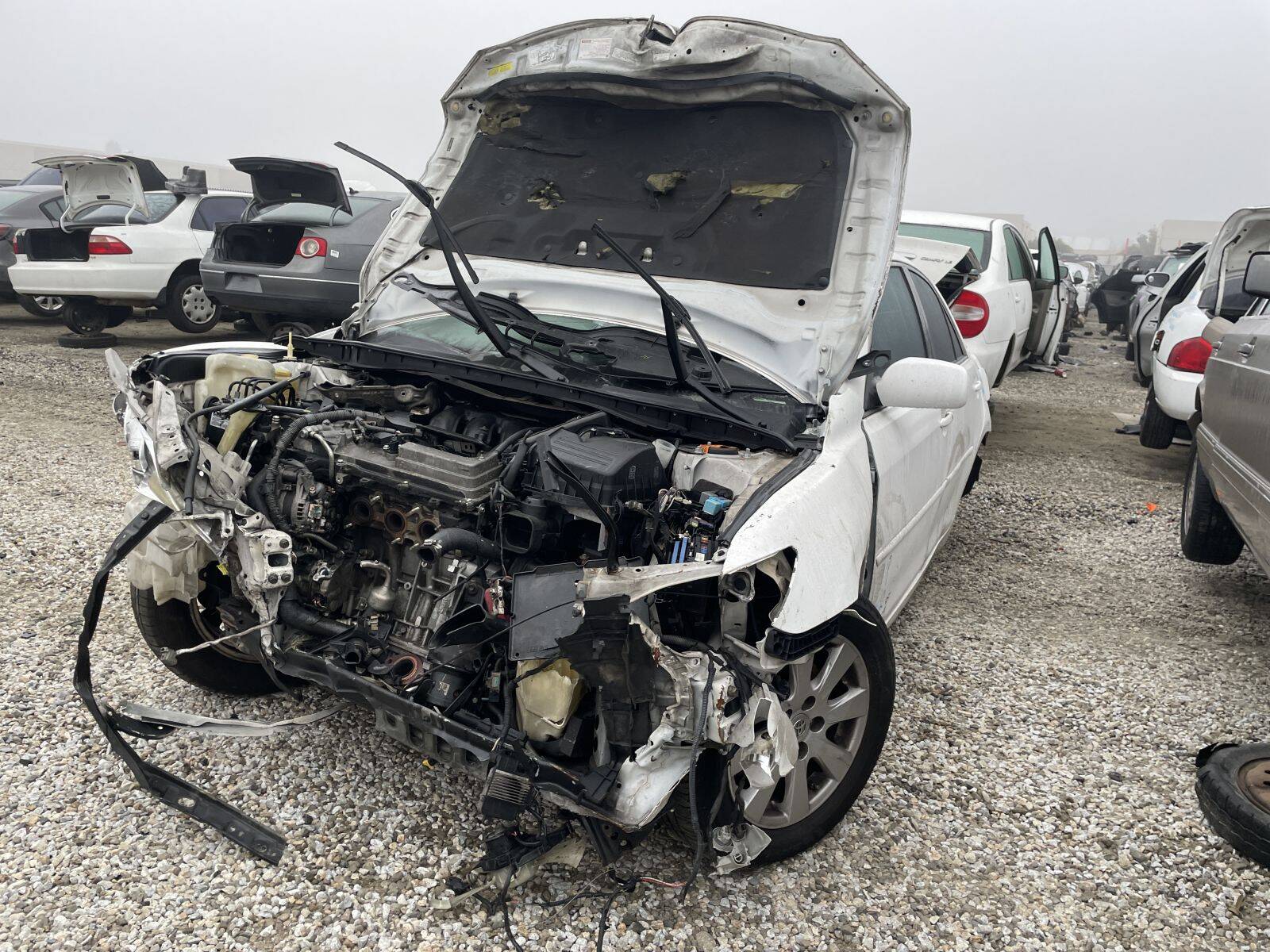 Catalog item POM061366