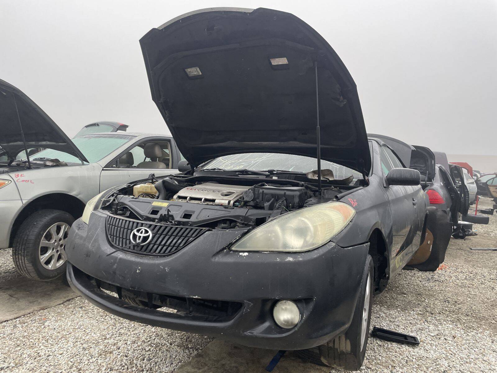 Catalog item POM061370