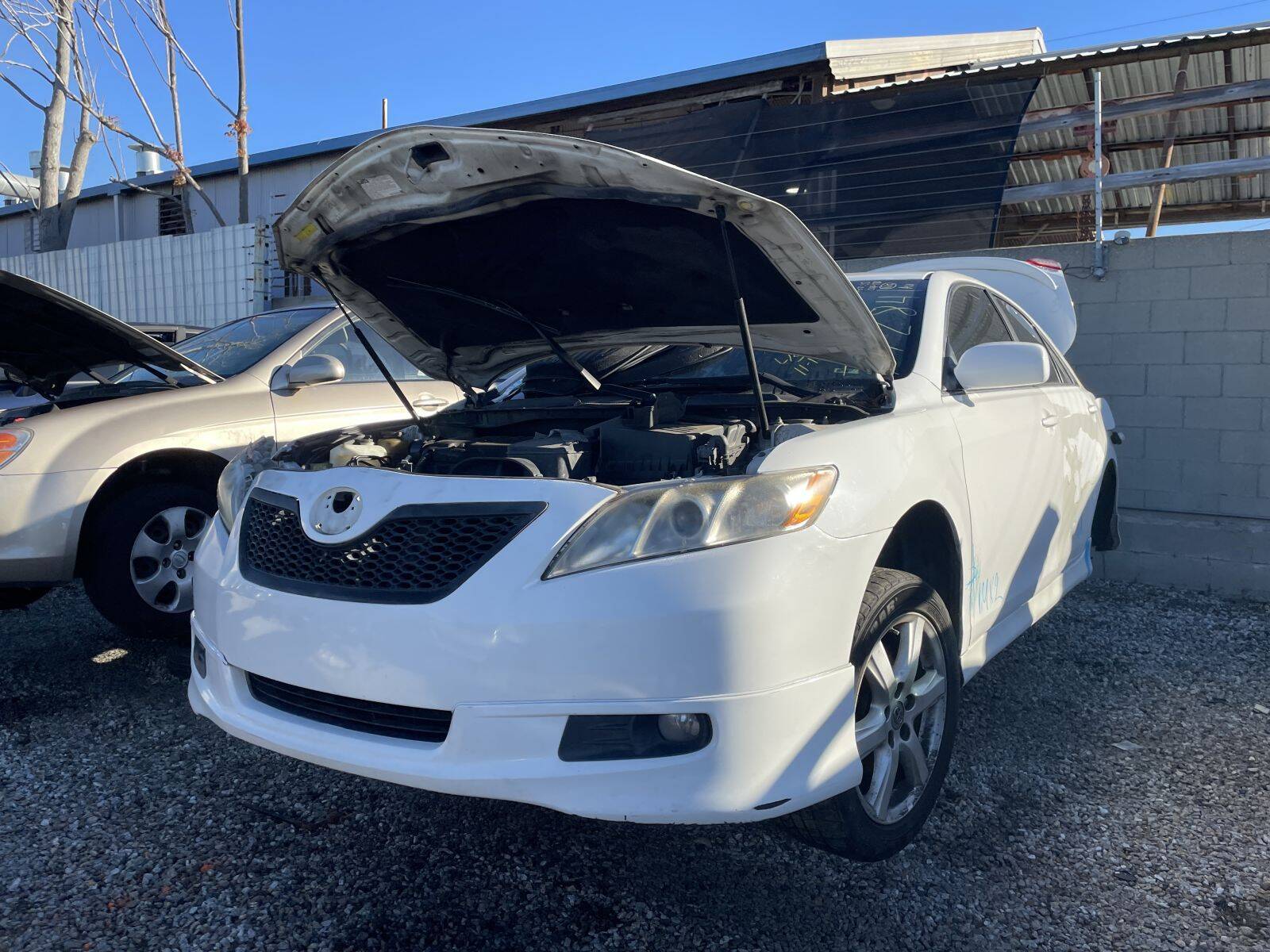 Catalog item POM061452