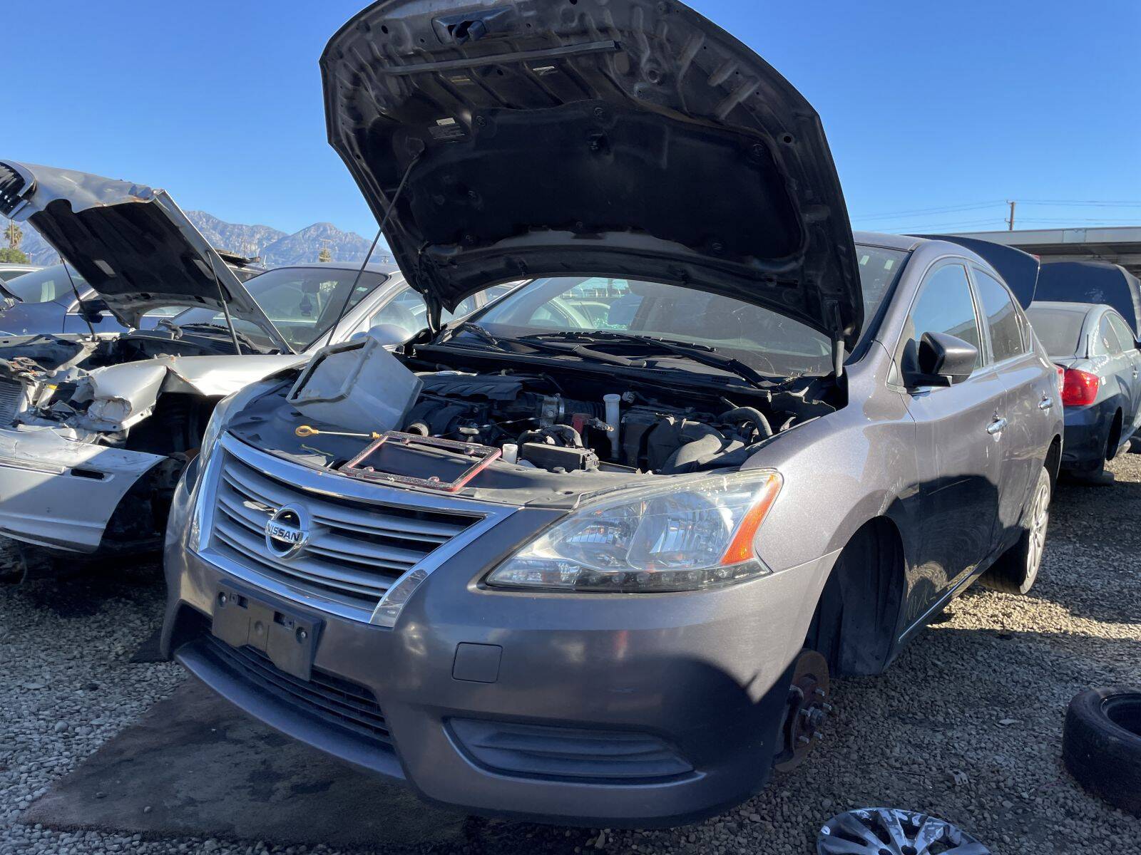 Artículo del catálogo POM061513