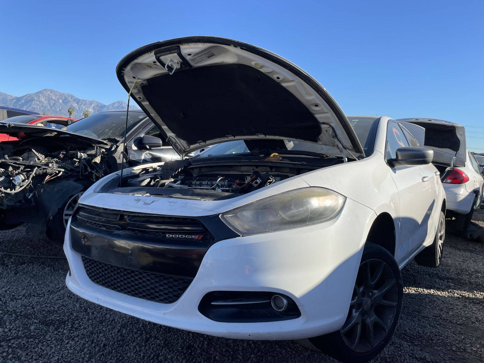 Artículo del catálogo POM061556