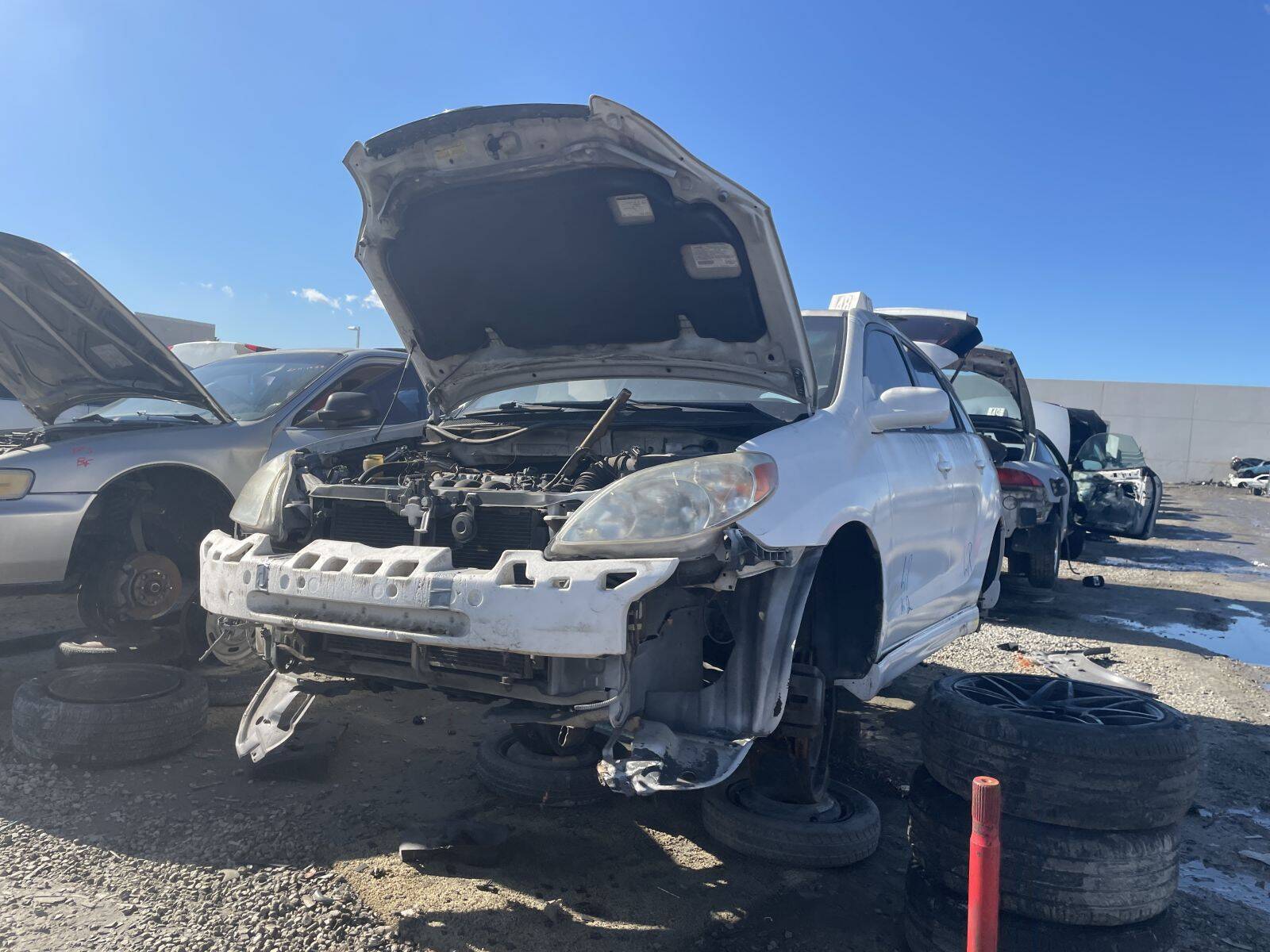 Catalog item POM061582