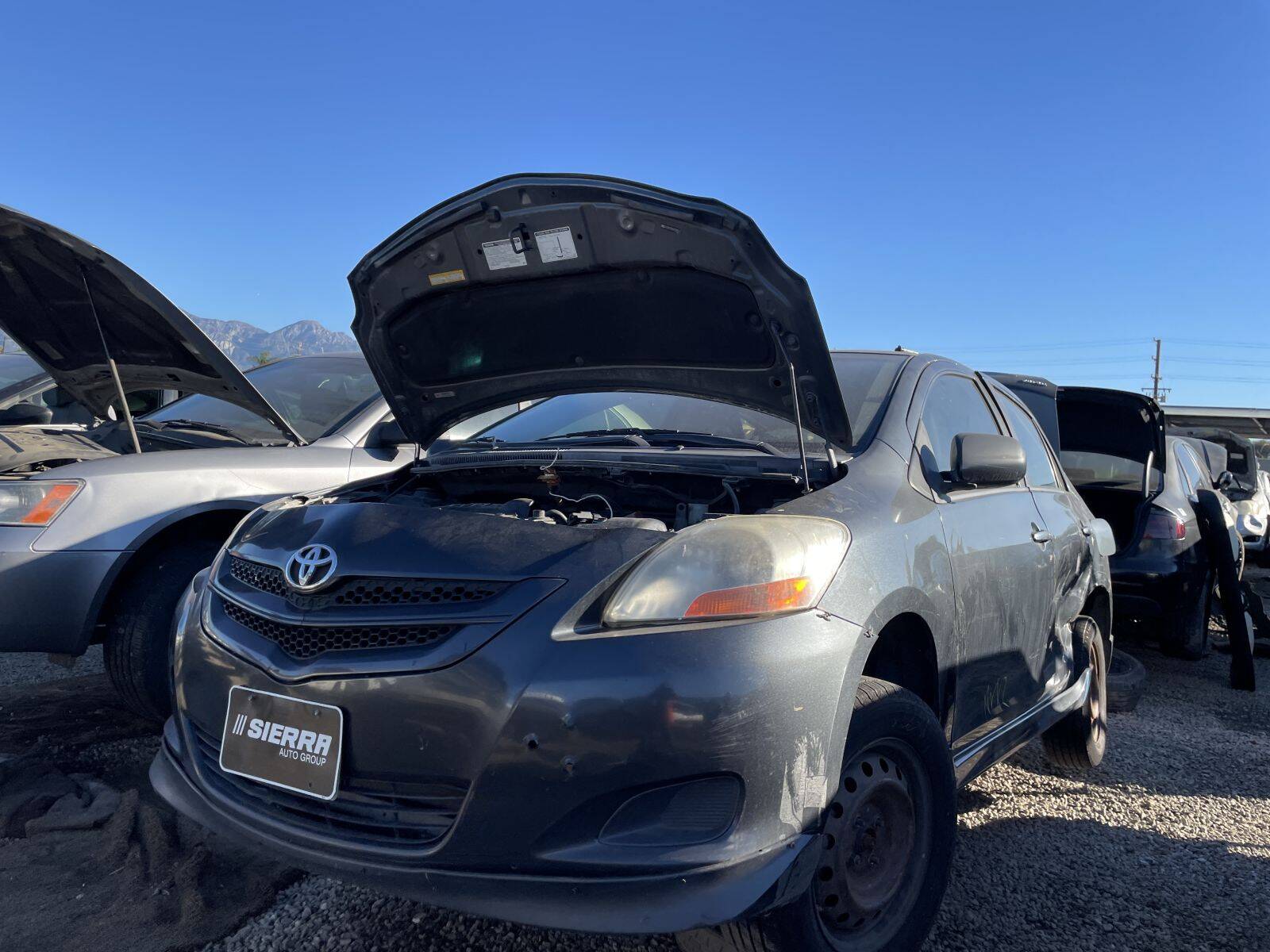 Catalog item POM061615