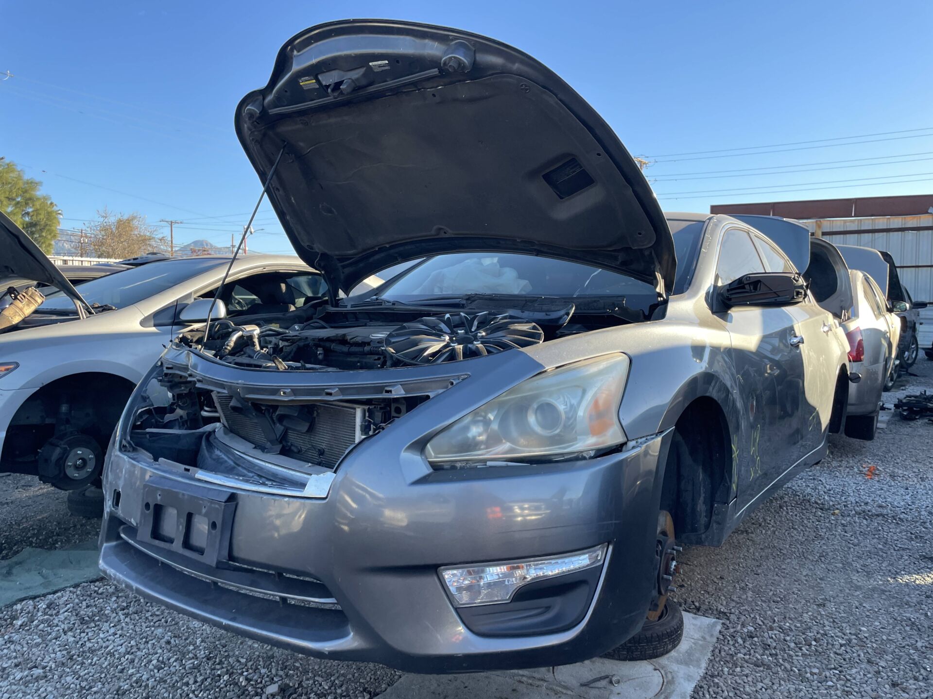 Artículo del catálogo POM061755