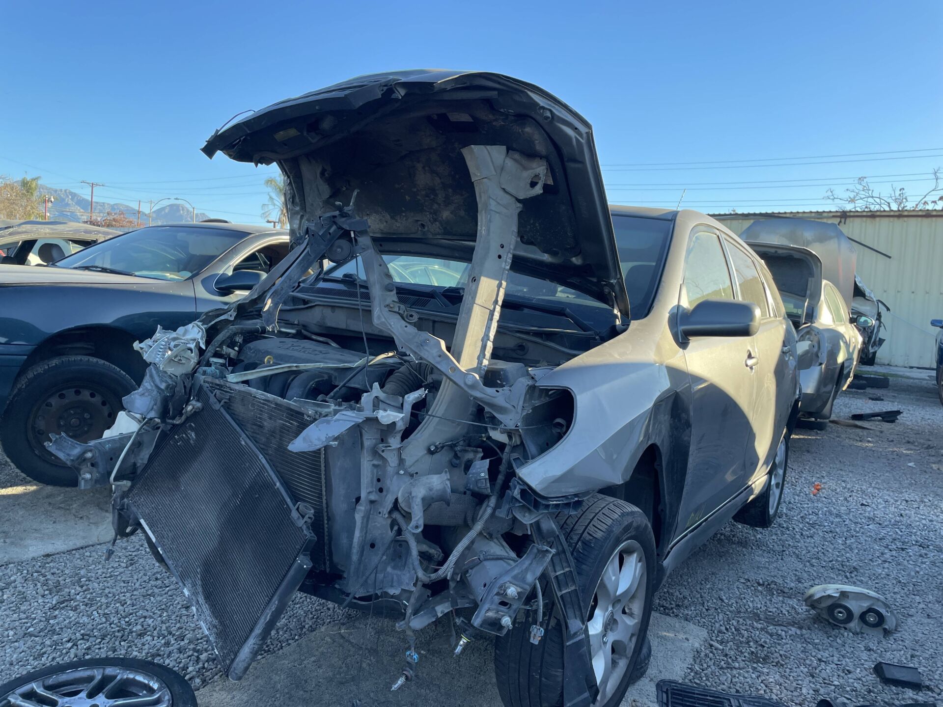 Catalog item POM061782