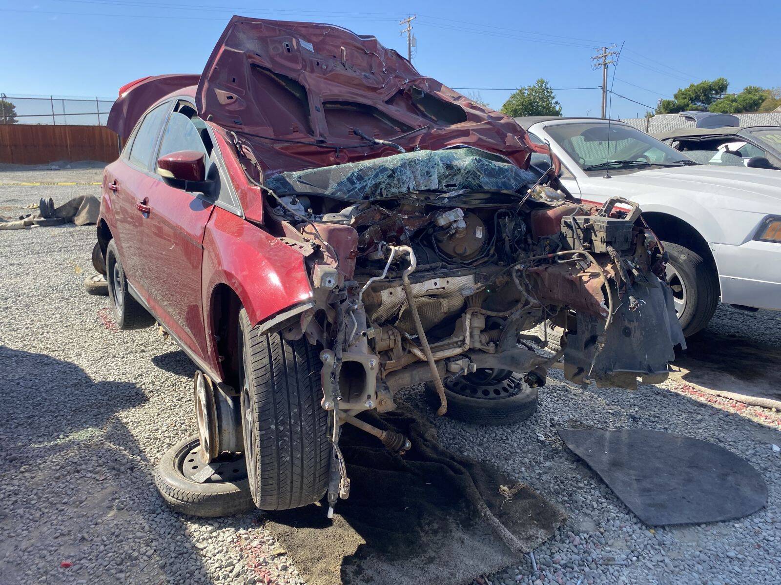 Artículo del catálogo SAC042575