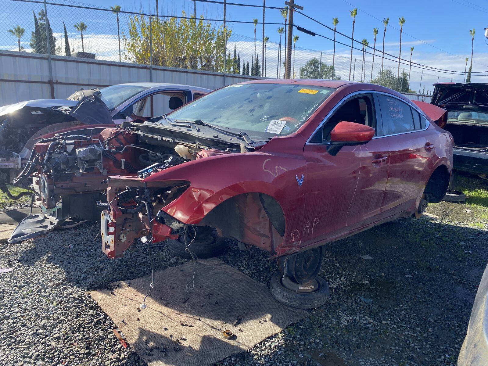 Artículo del catálogo SAC042639