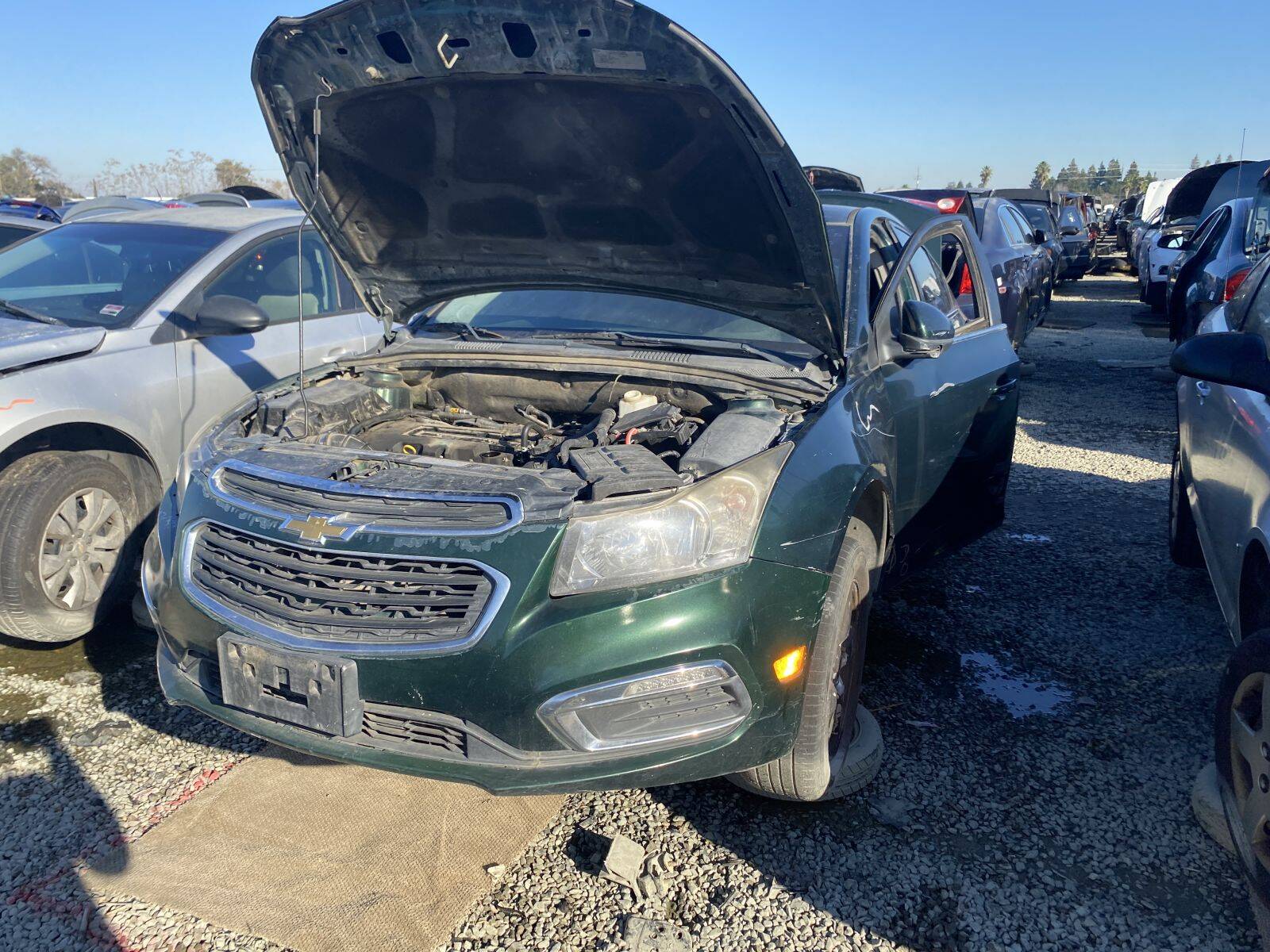 Artículo del catálogo SAC043186