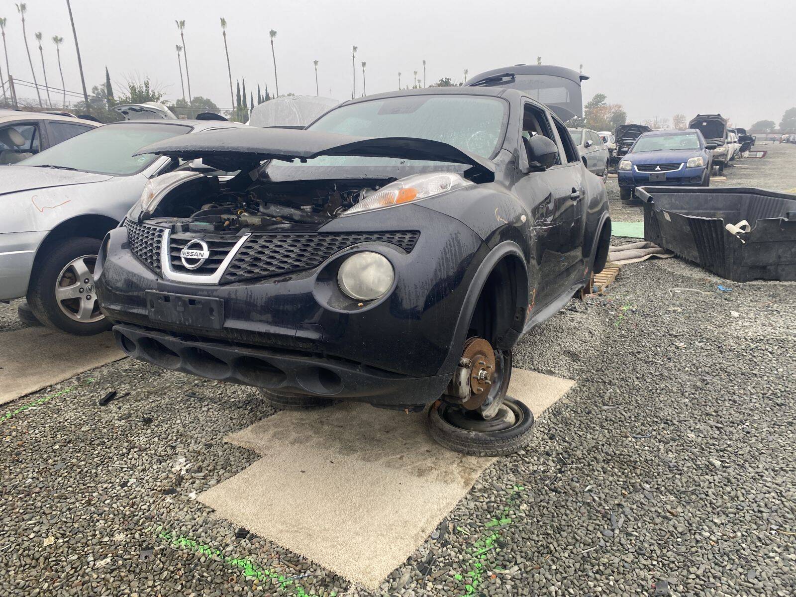 Catalog item SAC043204