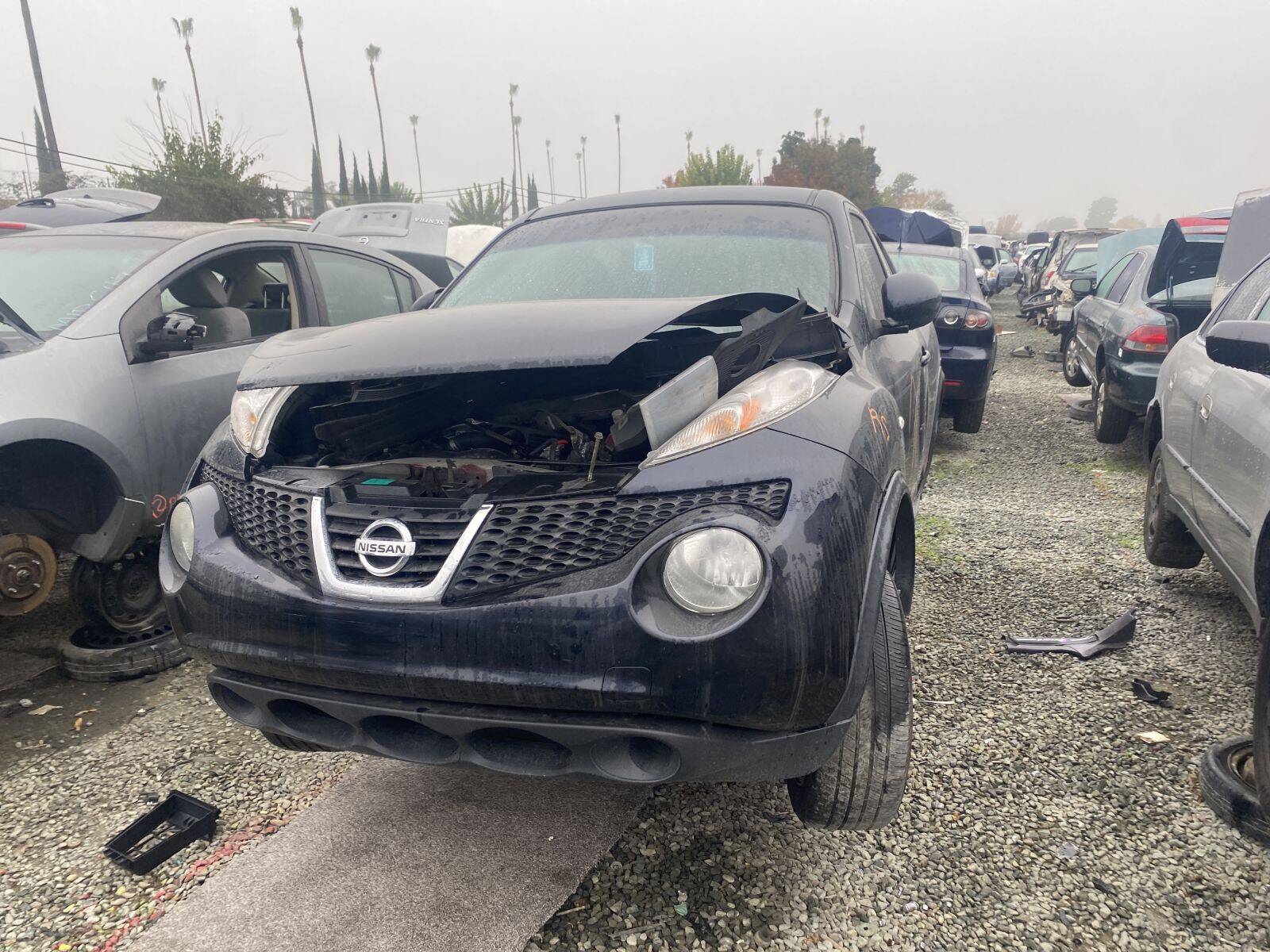 Artículo del catálogo SAC043507