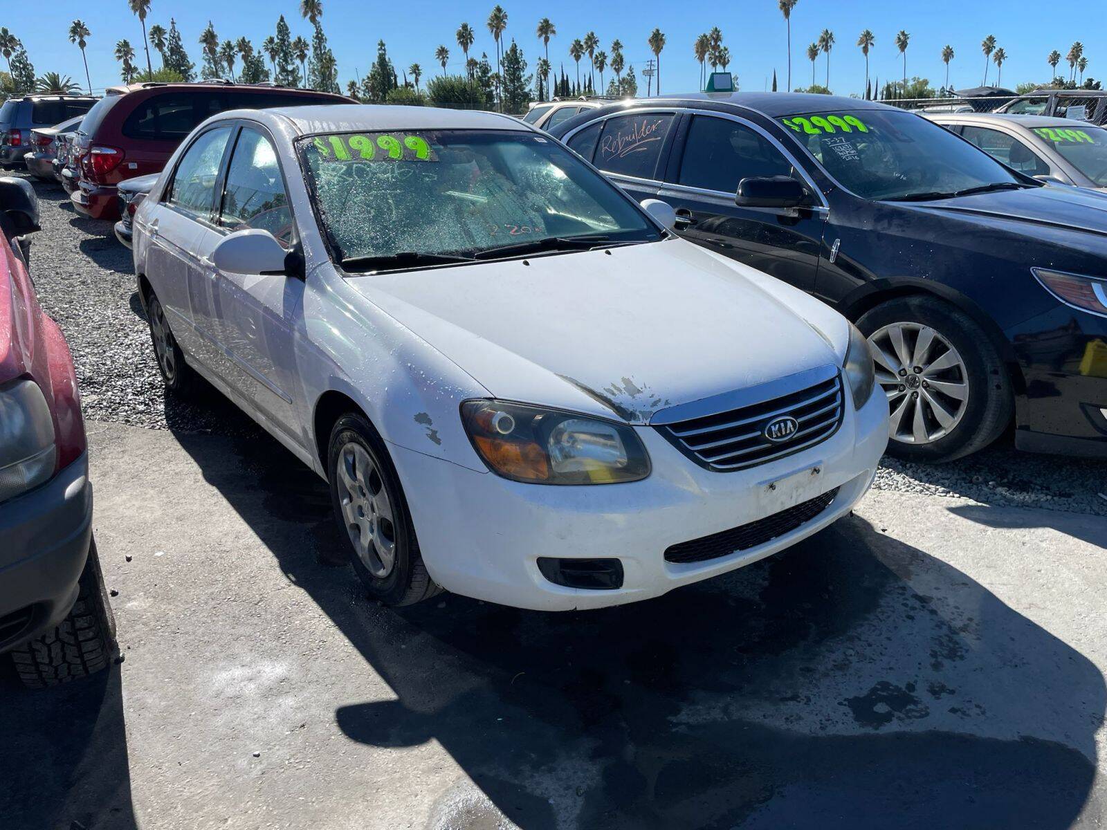 Artículo del catálogo SAC043735