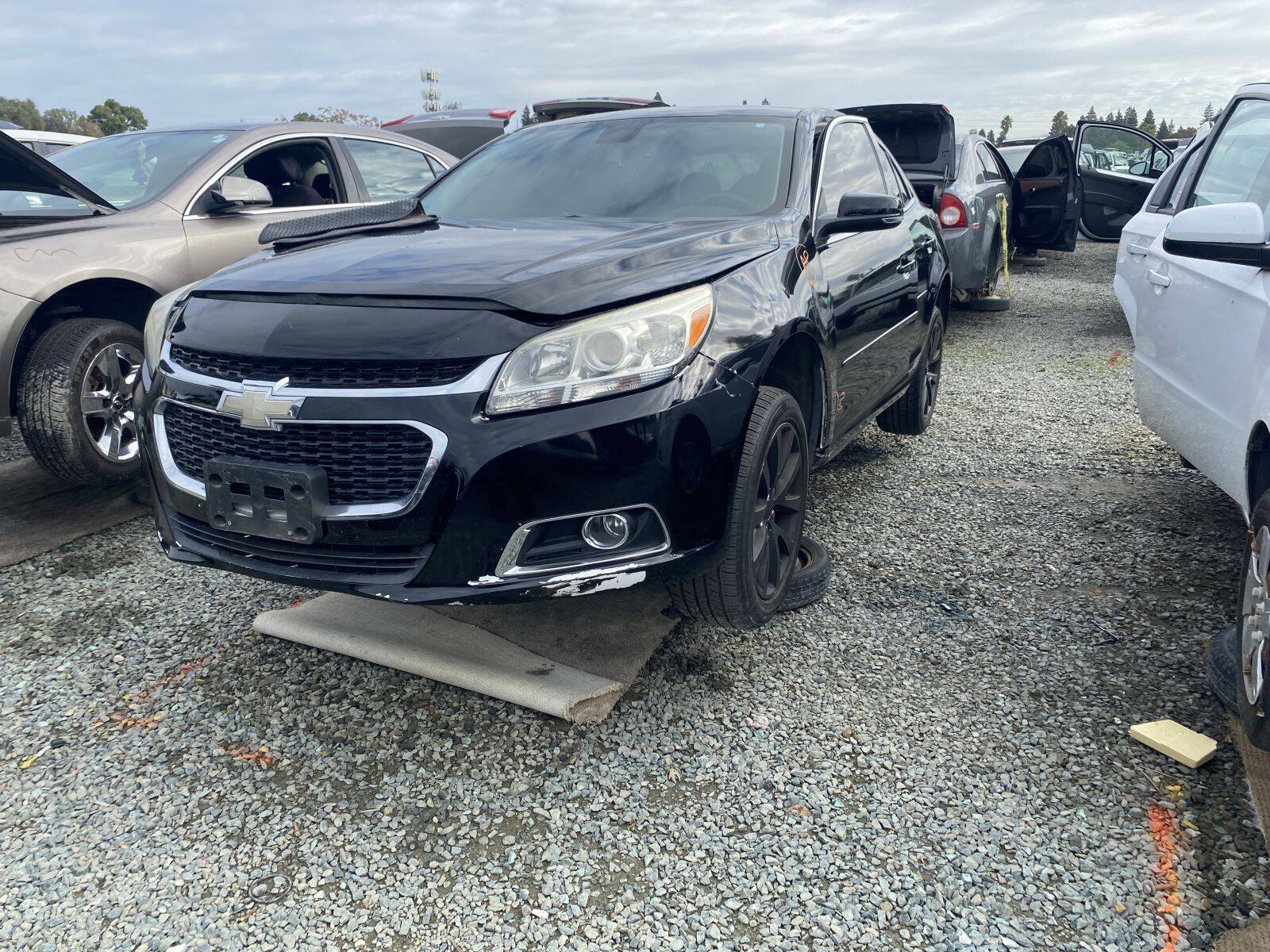 Artículo del catálogo SAC044016