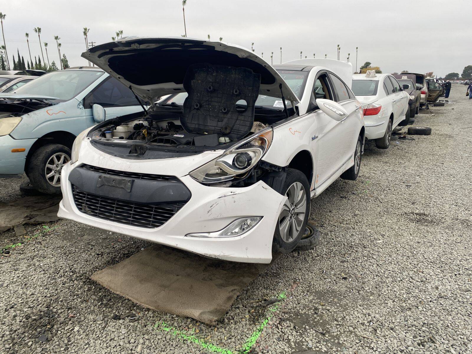 Artículo del catálogo SAC044422