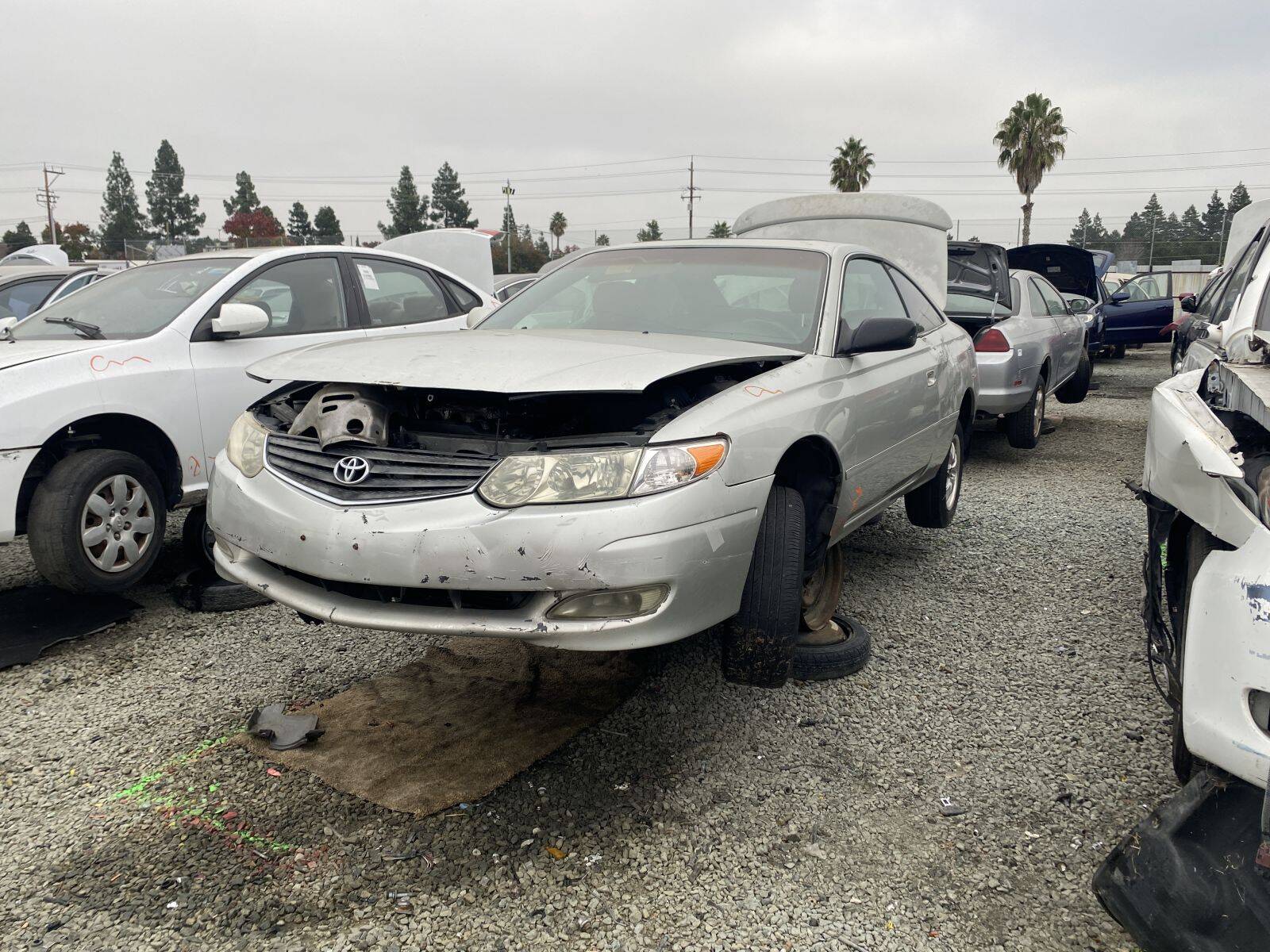 Catalog item SAC044434