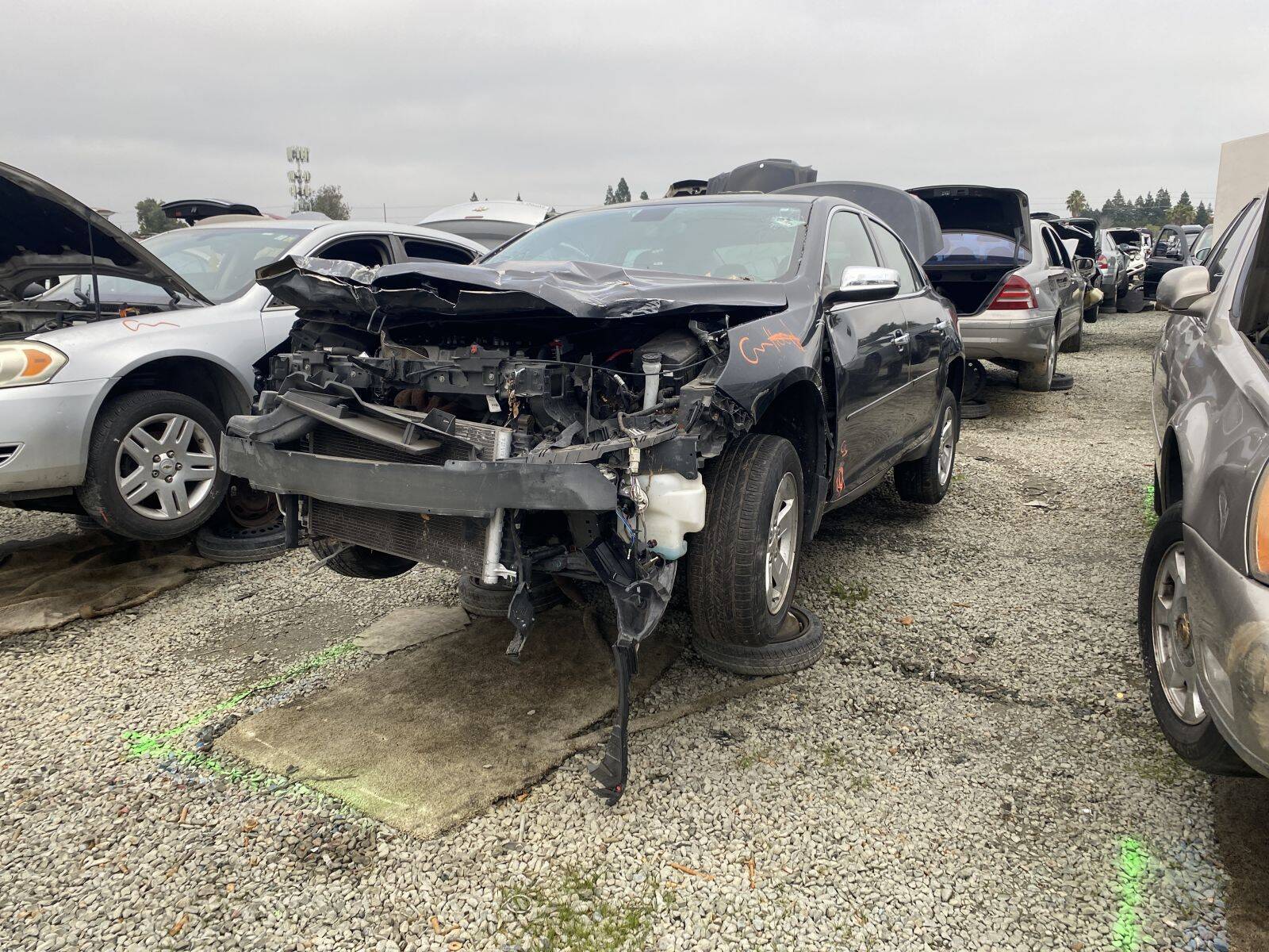 Artículo del catálogo SAC044457