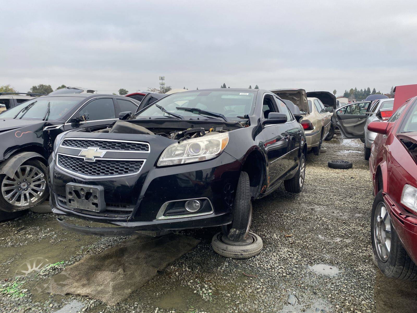 Artículo del catálogo SAC044567