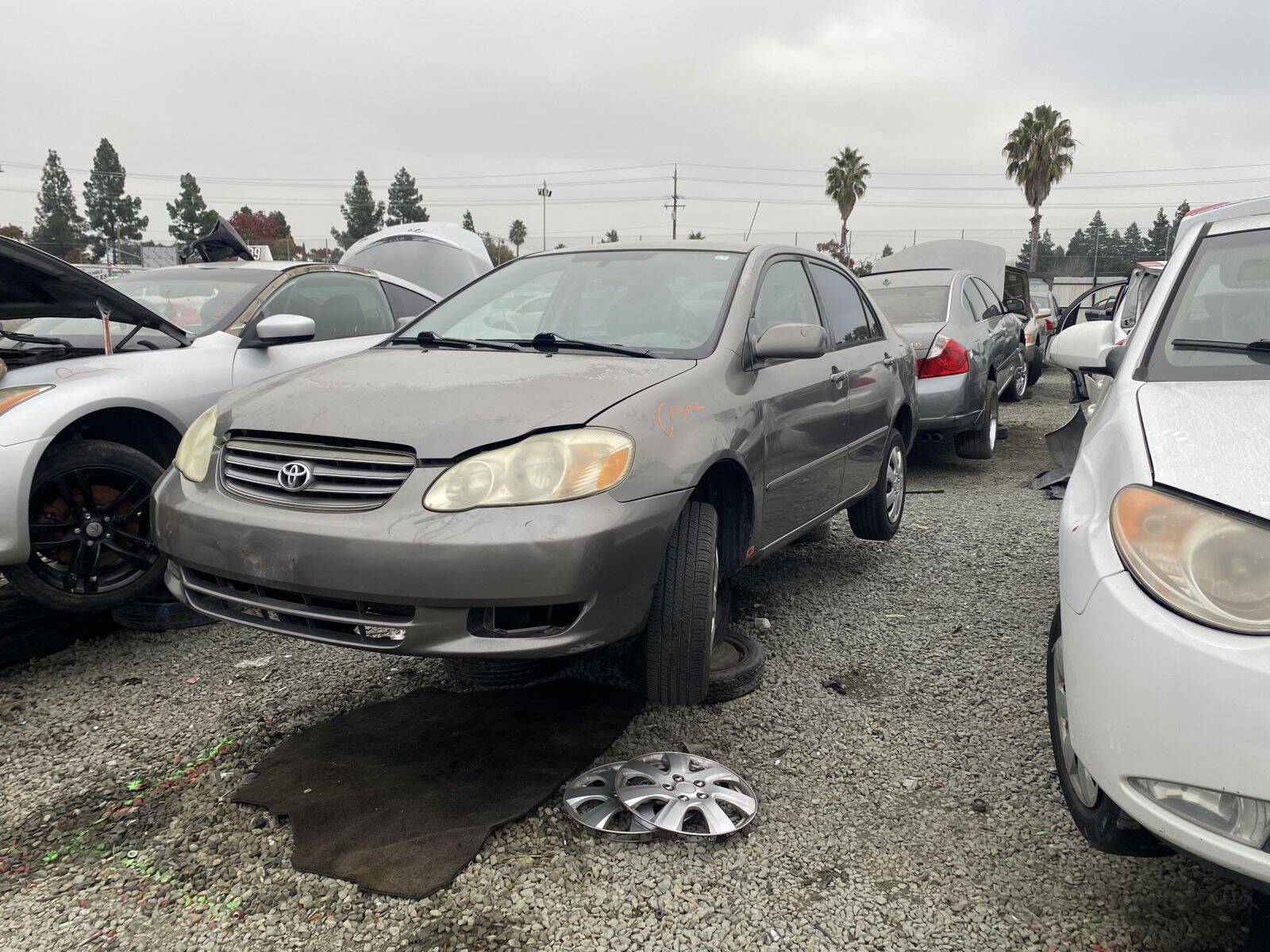 Catalog item SAC044678