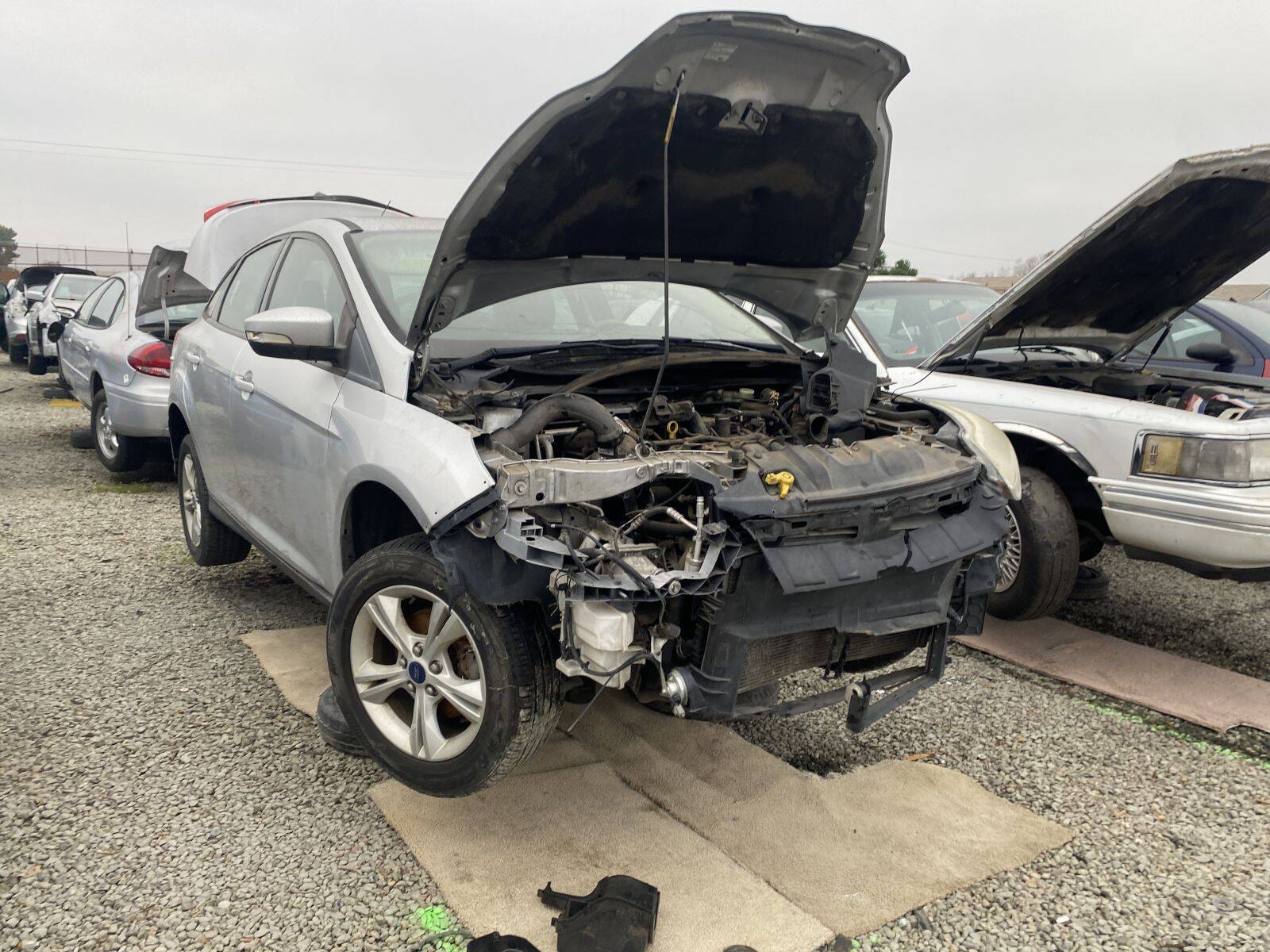 Artículo del catálogo SAC044683