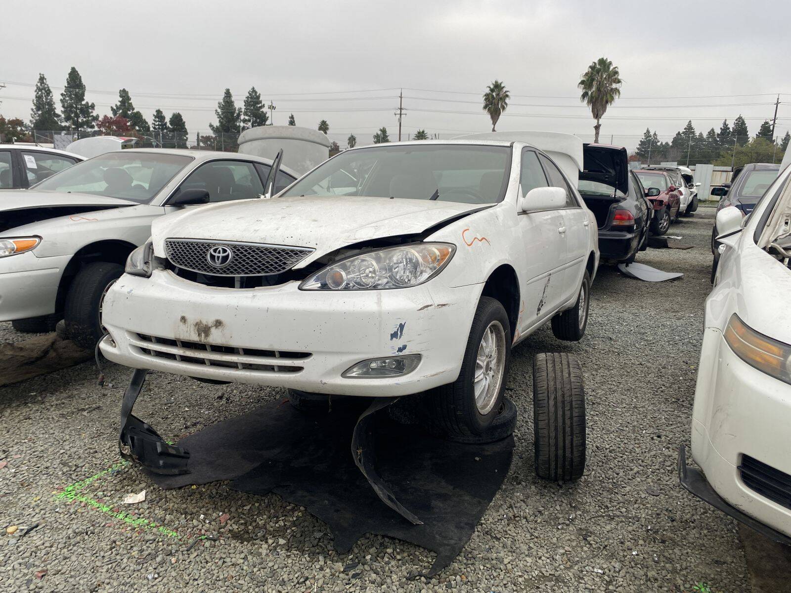 Catalog item SAC044684