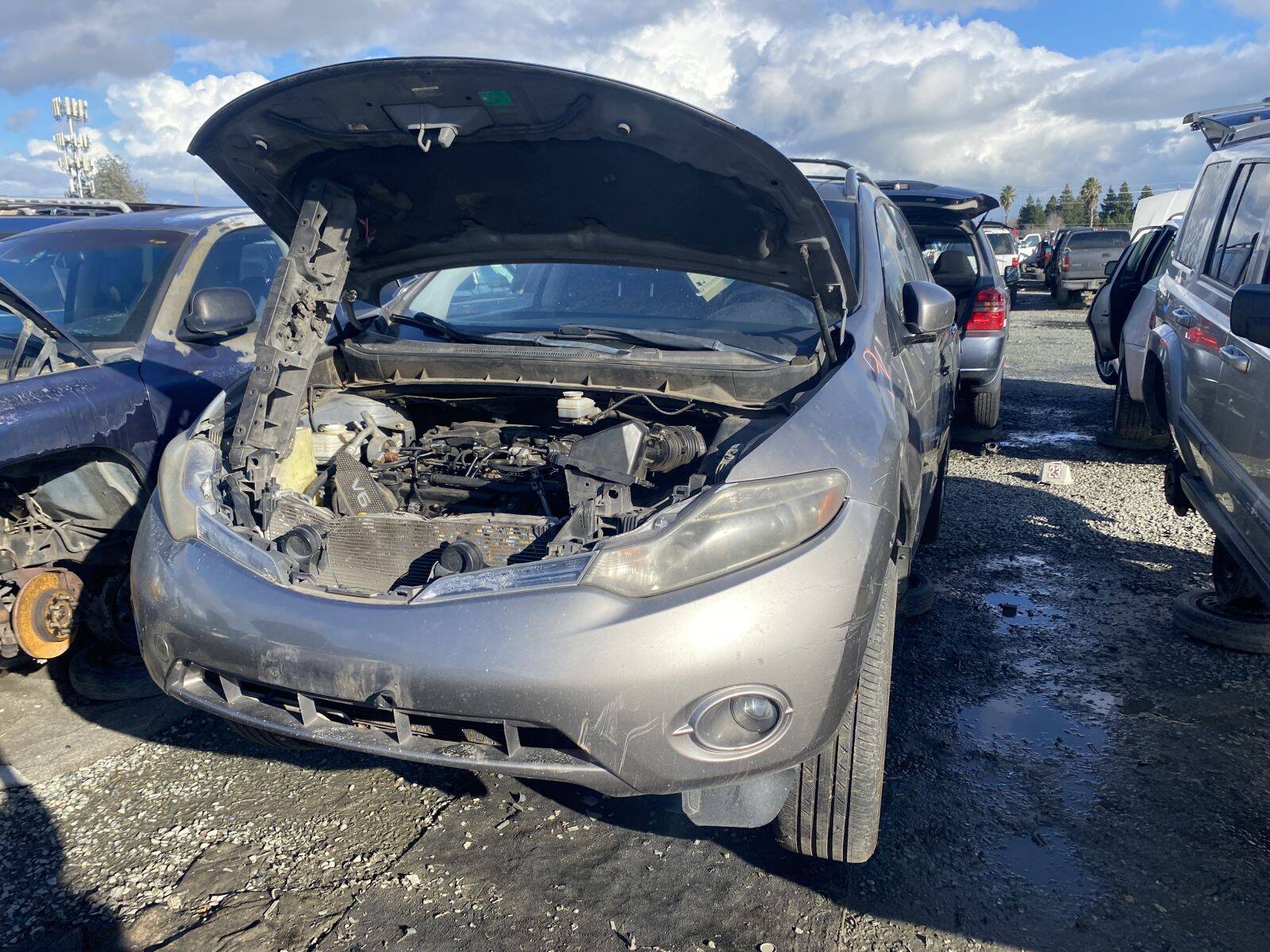 Catalog item SAC044733