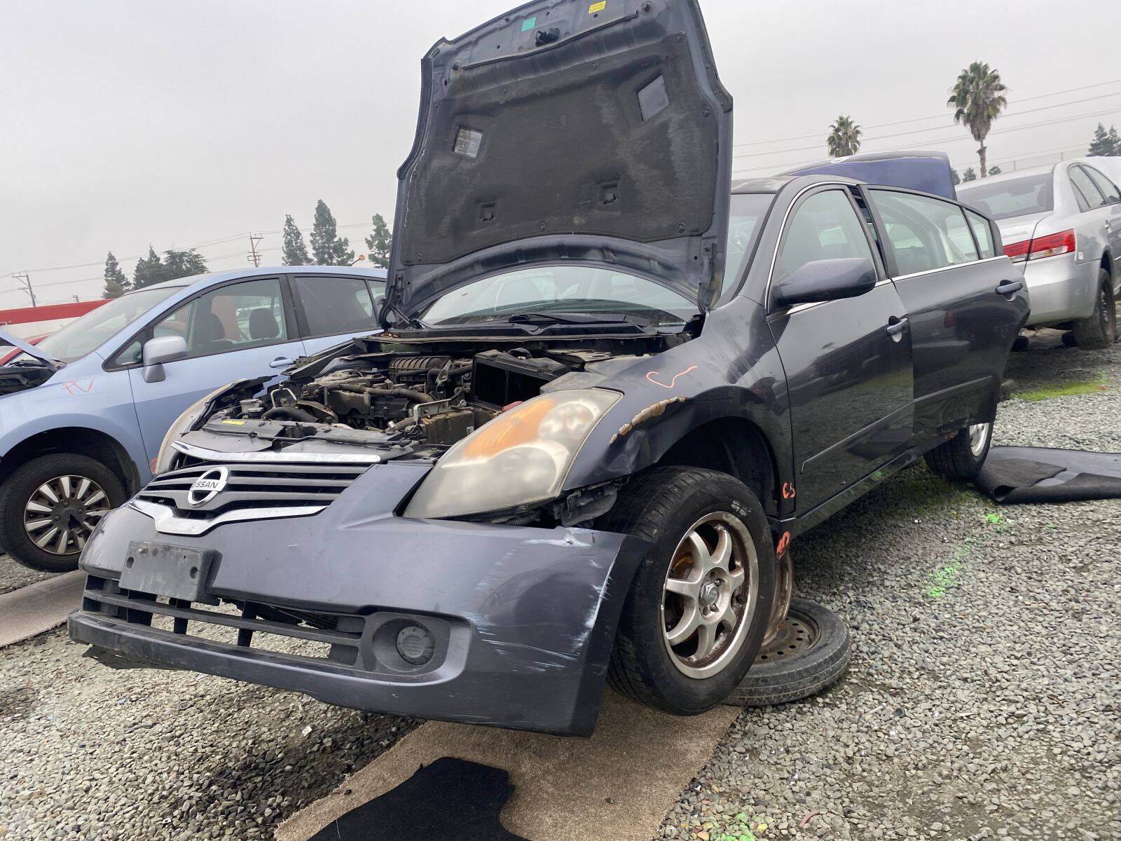 Catalog item SAC044748