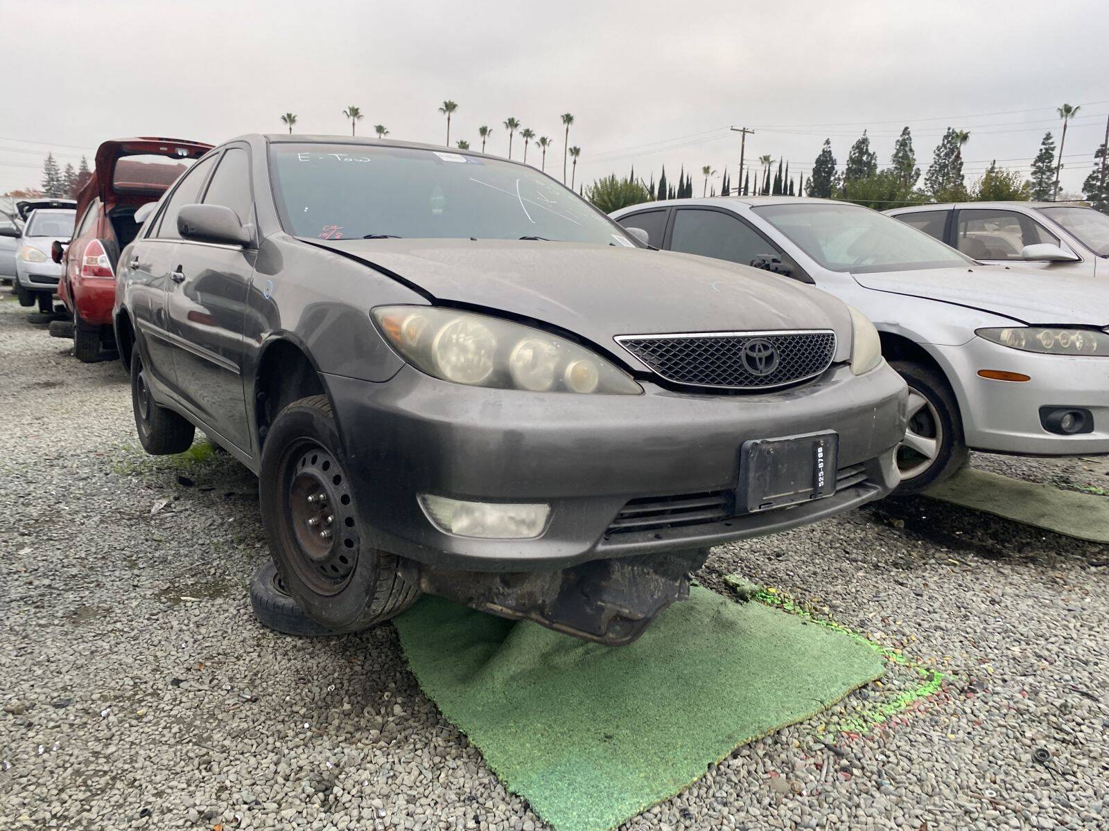 Catalog item SAC044753