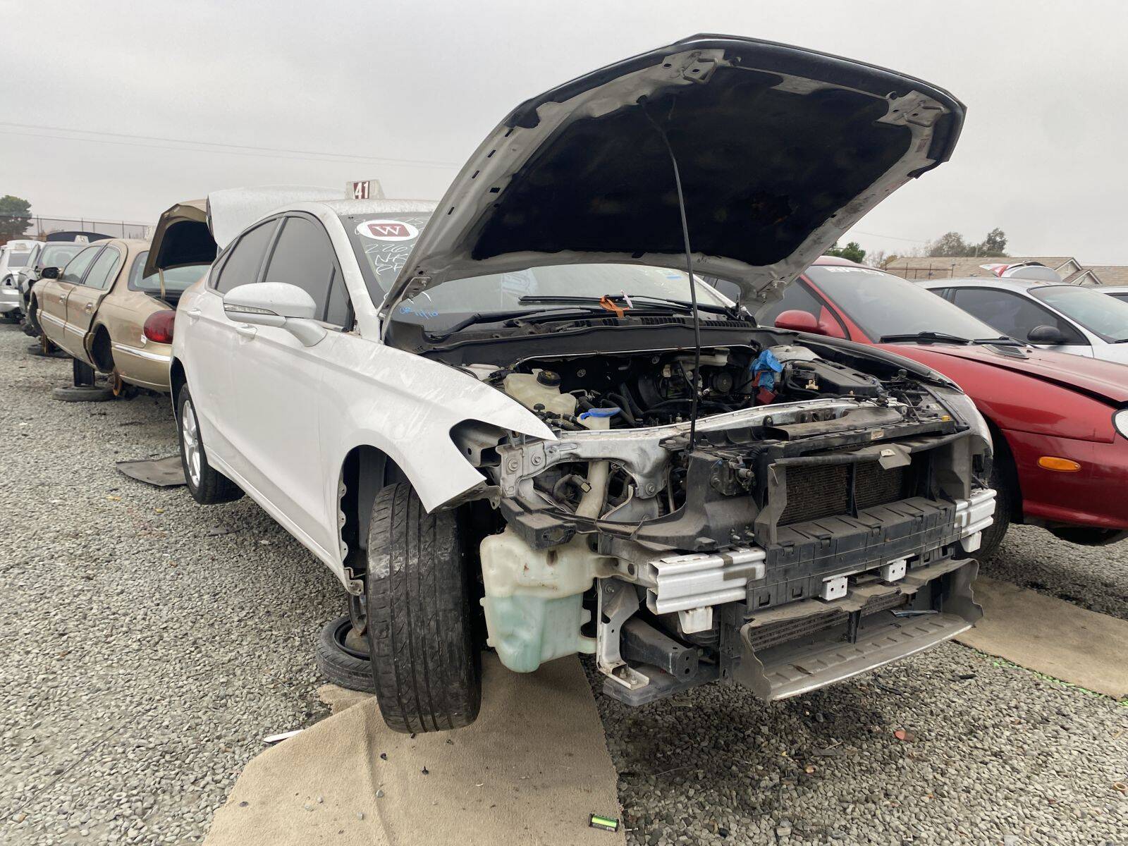 Artículo del catálogo SAC044758