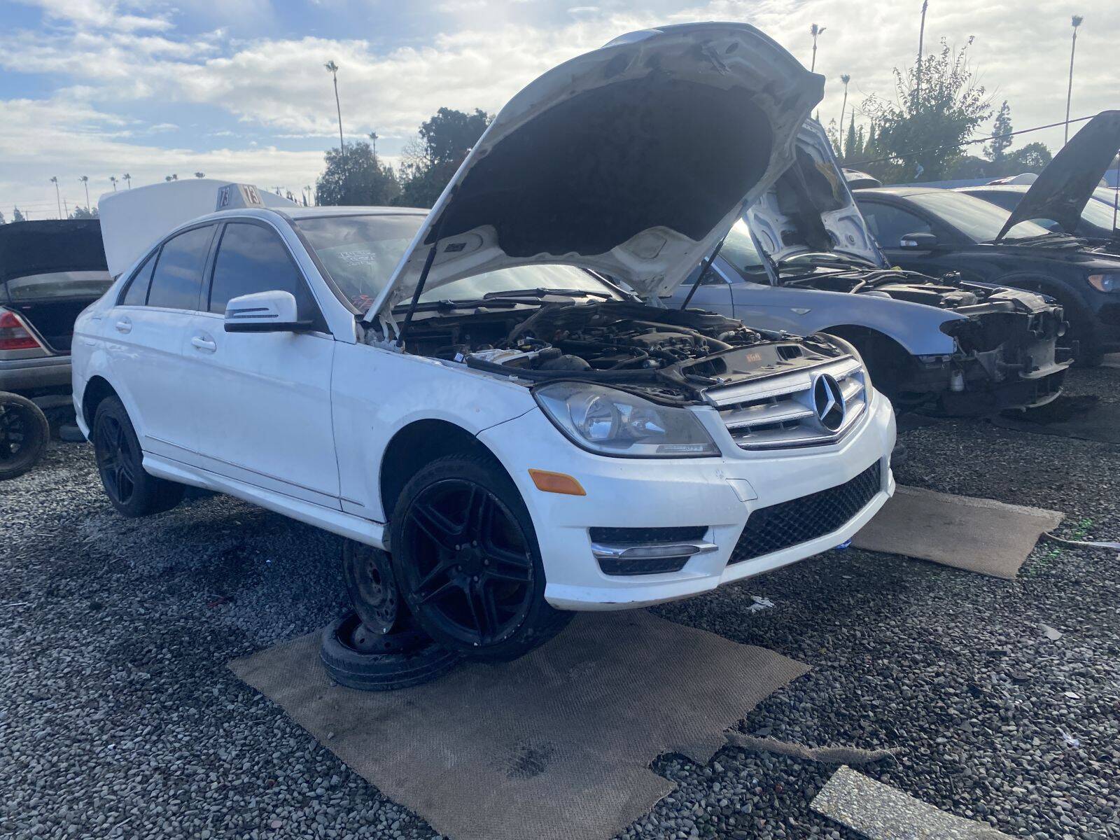 Artículo del catálogo SAC044759