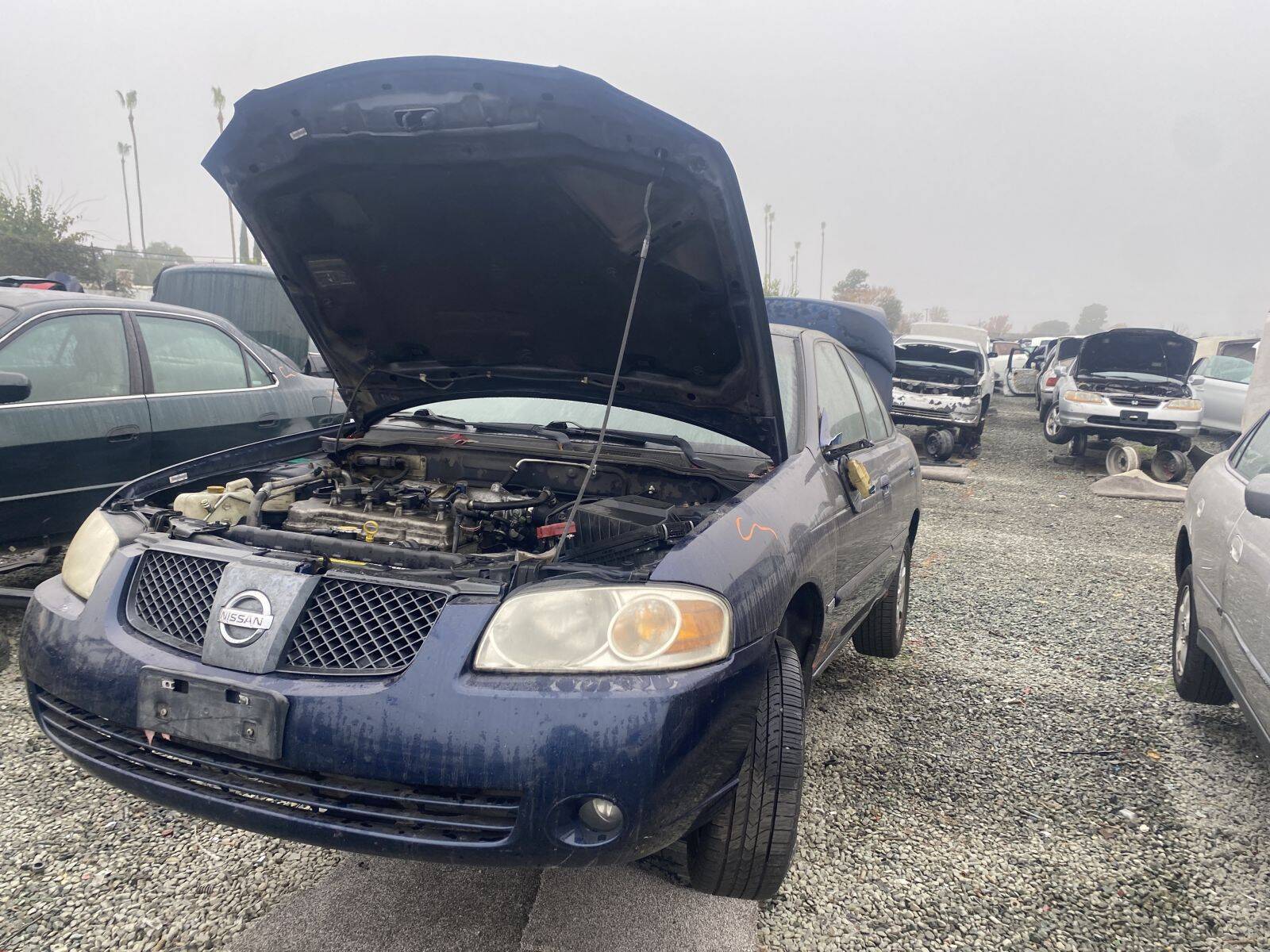 Catalog item SAC044800