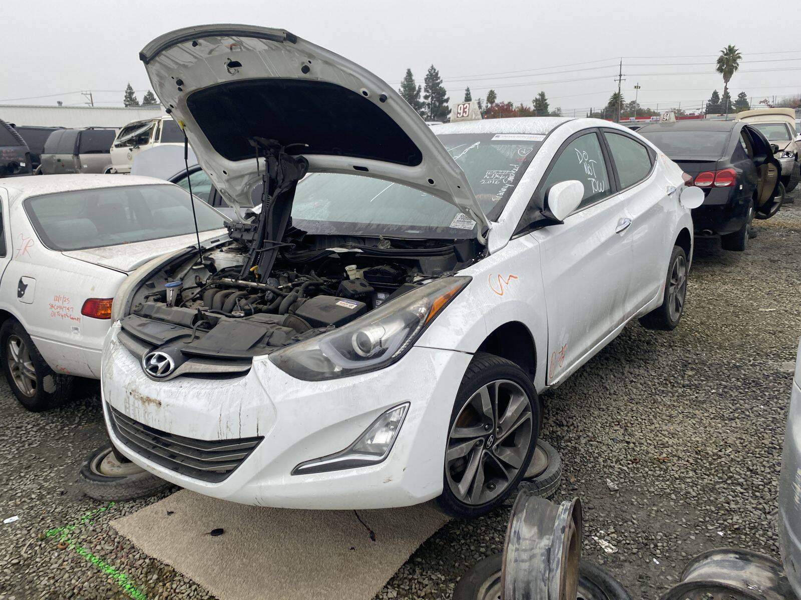 Artículo del catálogo SAC044818