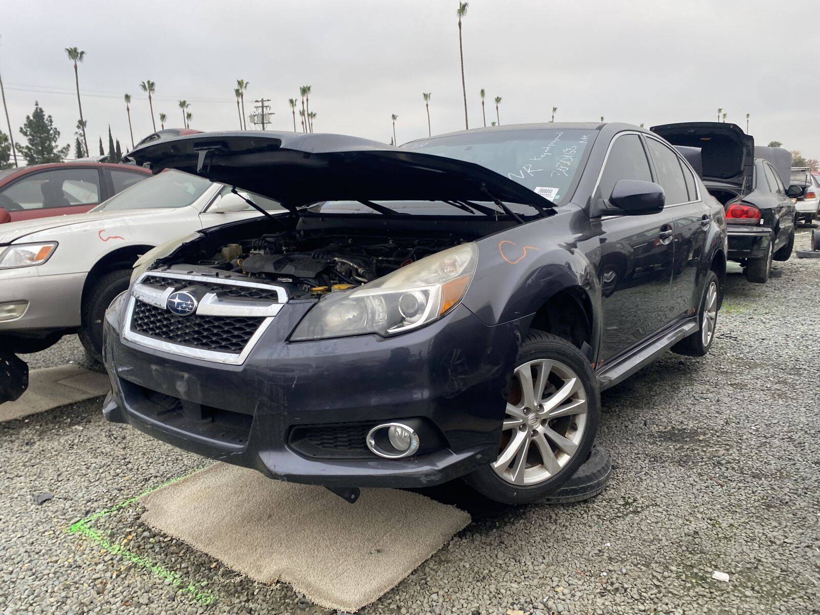 Artículo del catálogo SAC044825