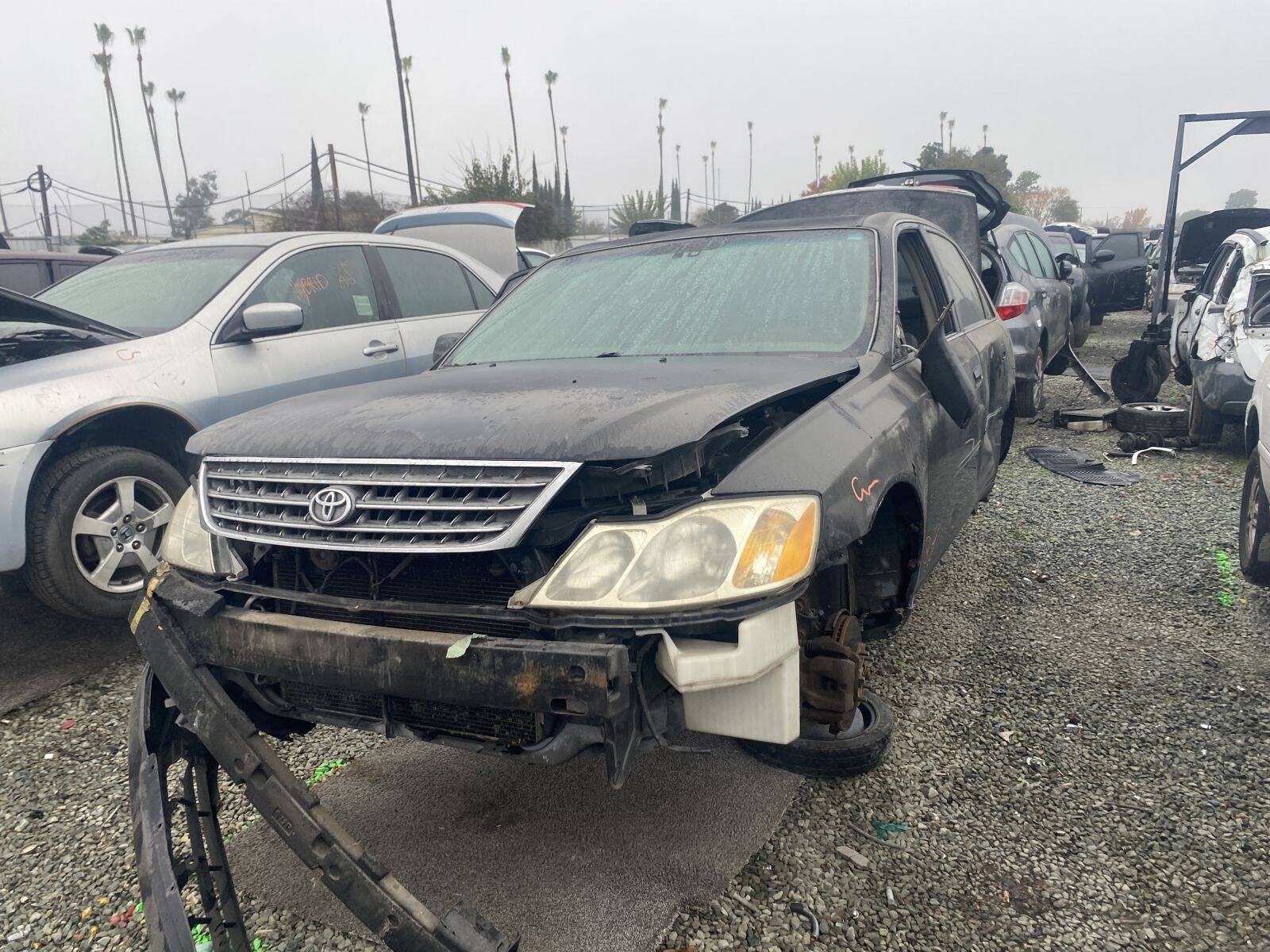 Catalog item SAC044867