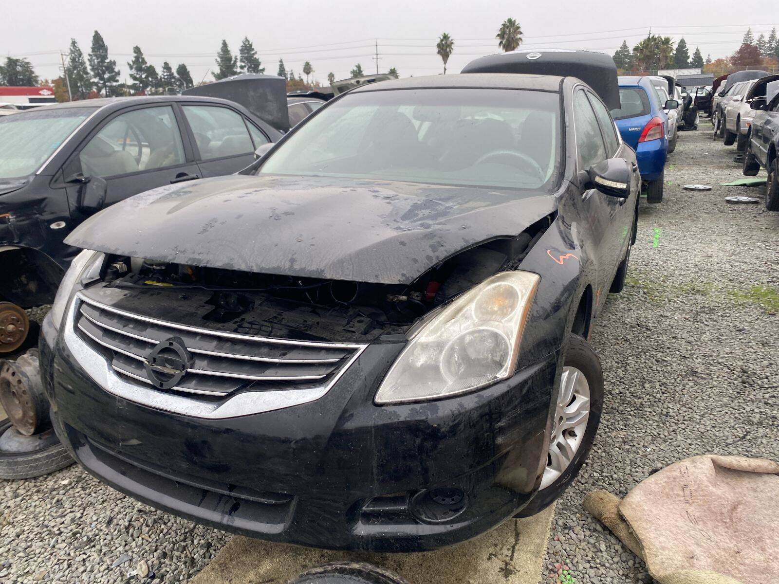 Catalog item SAC044869