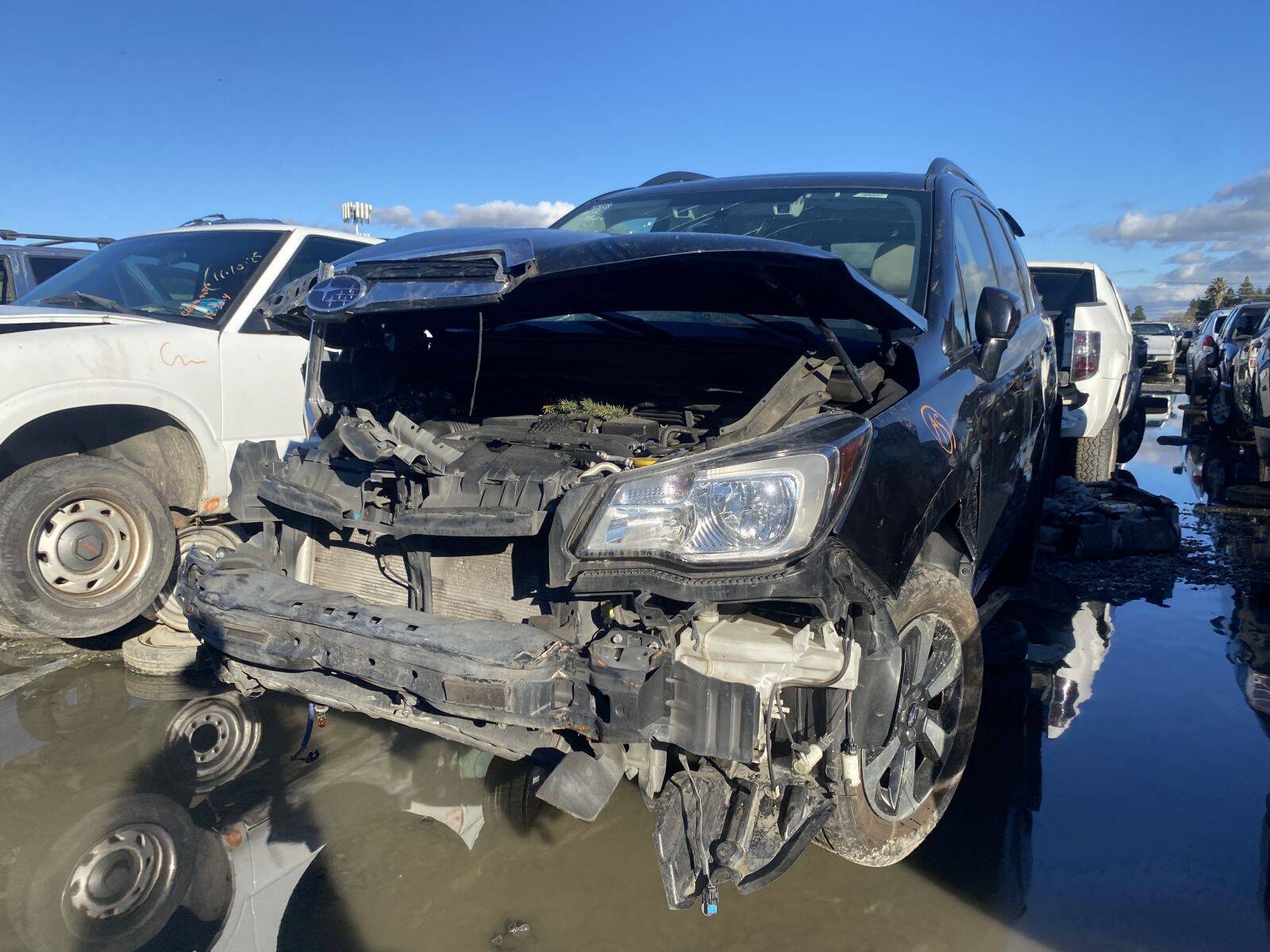 Artículo del catálogo SAC044875