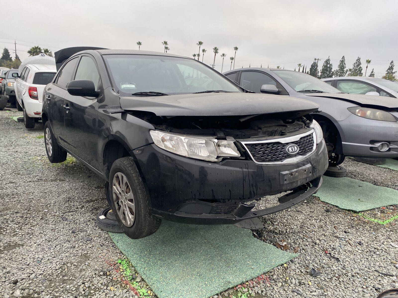 Artículo del catálogo SAC044908