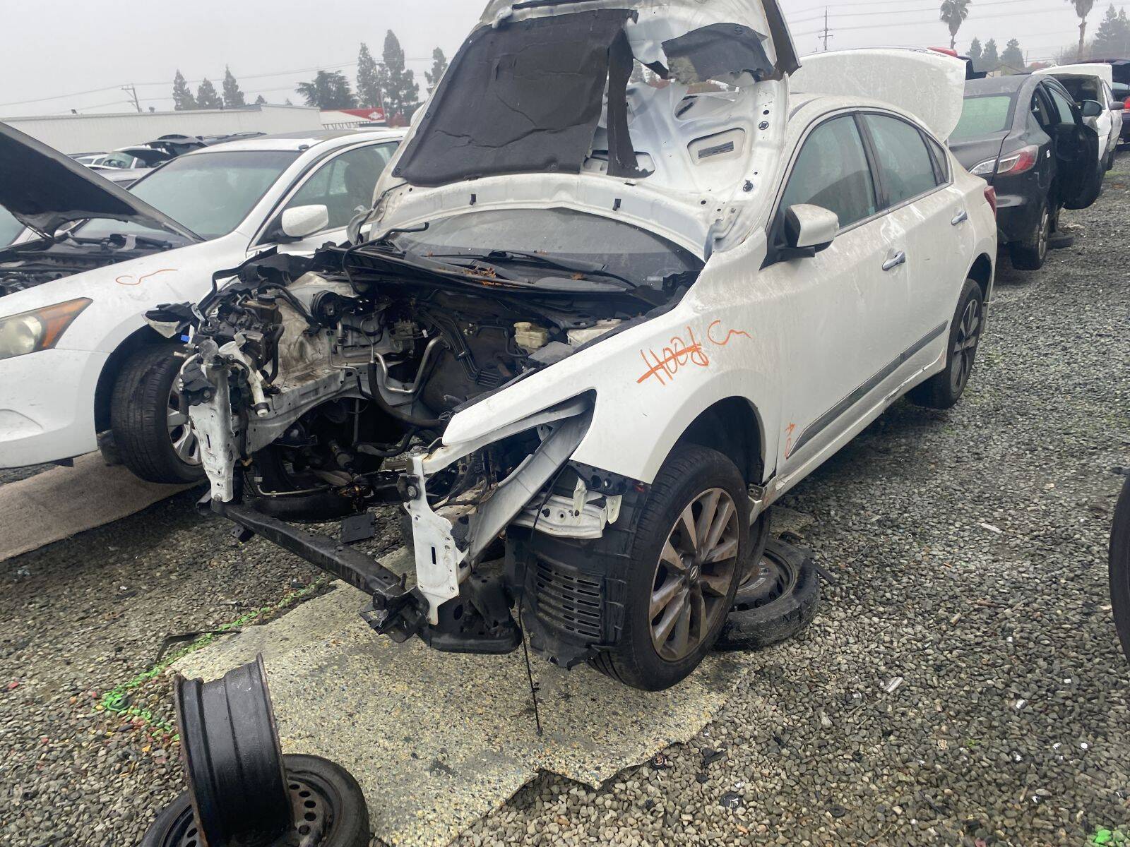 Artículo del catálogo SAC044923