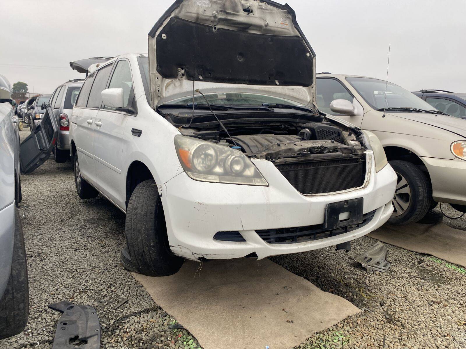 Catalog item SAC044930