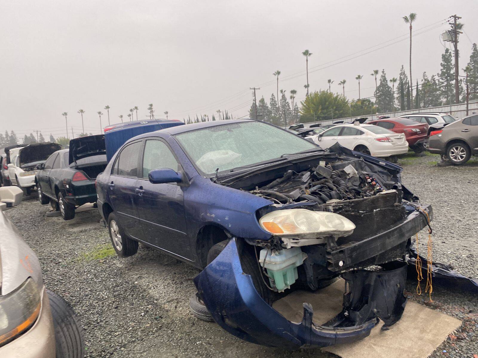 Catalog item SAC045081