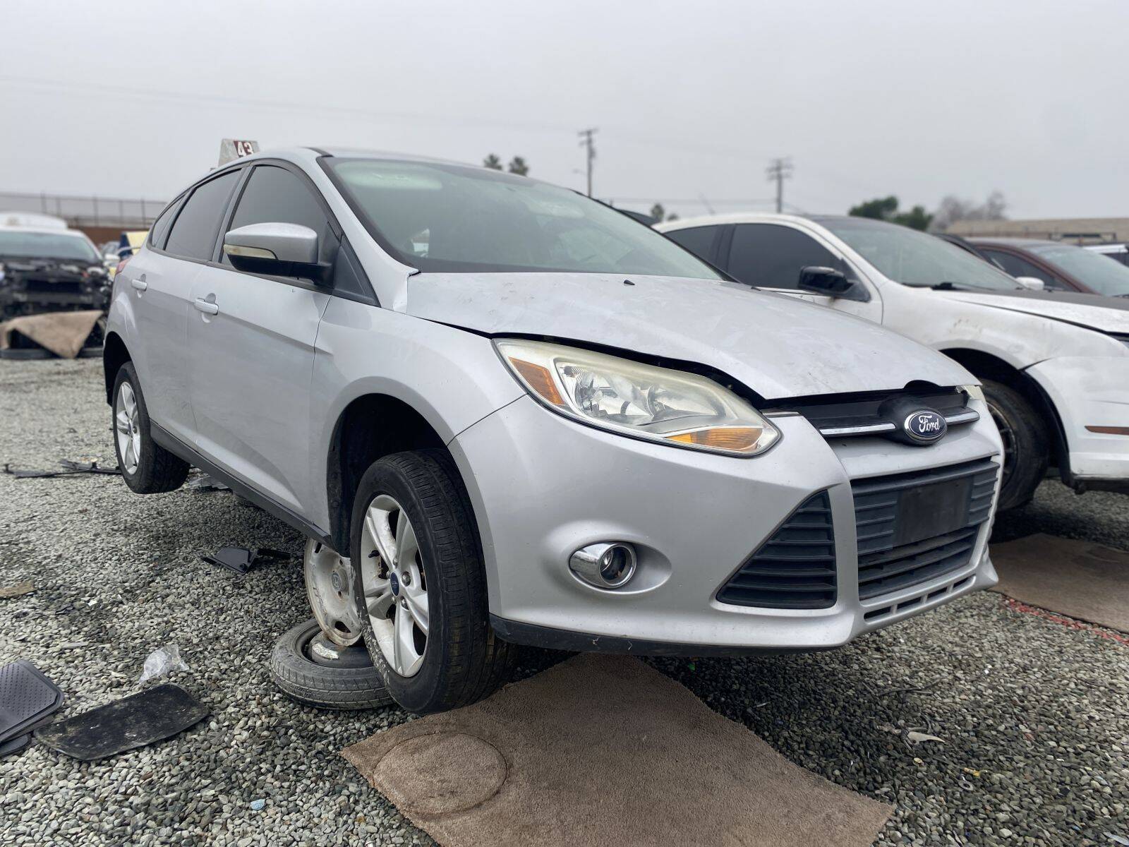 Artículo del catálogo SAC045137