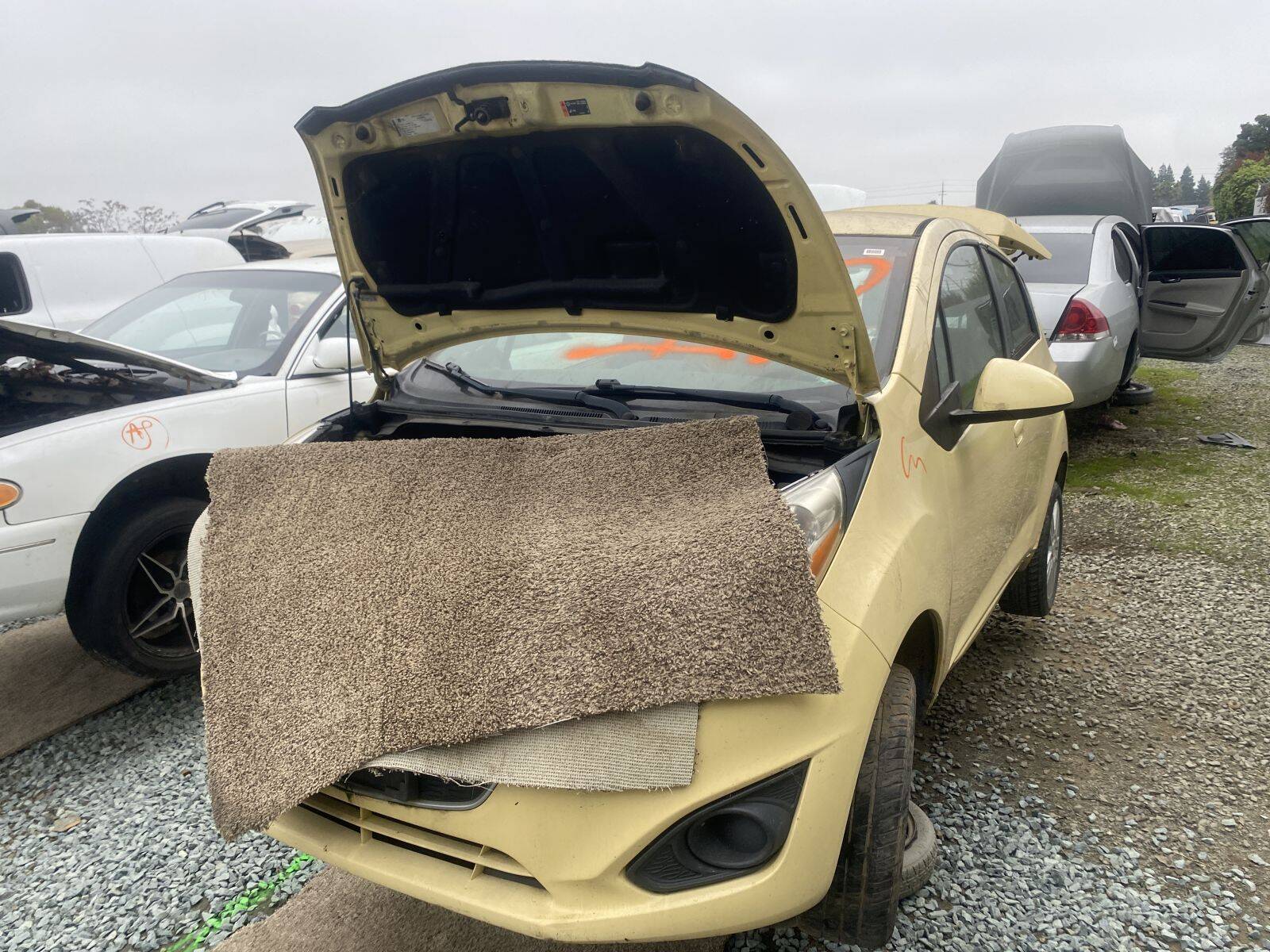 Artículo del catálogo SAC045142