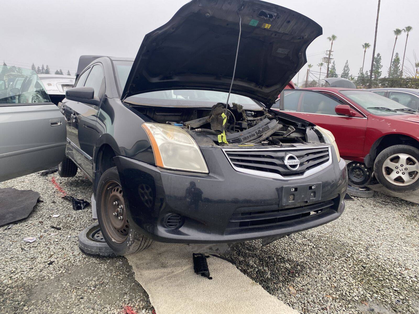 Catalog item SAC045174